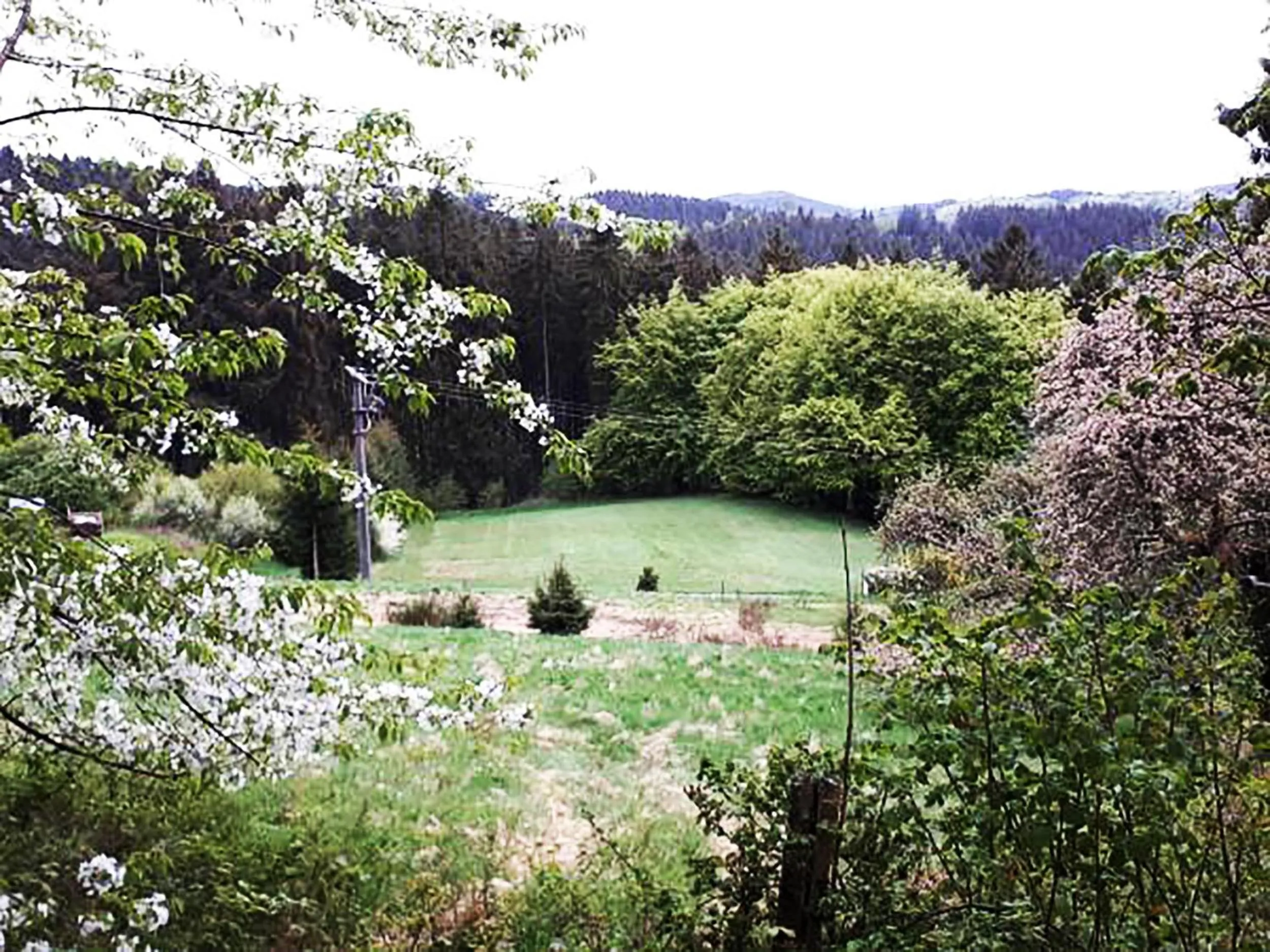 Garden view in Green Corner Nürburg