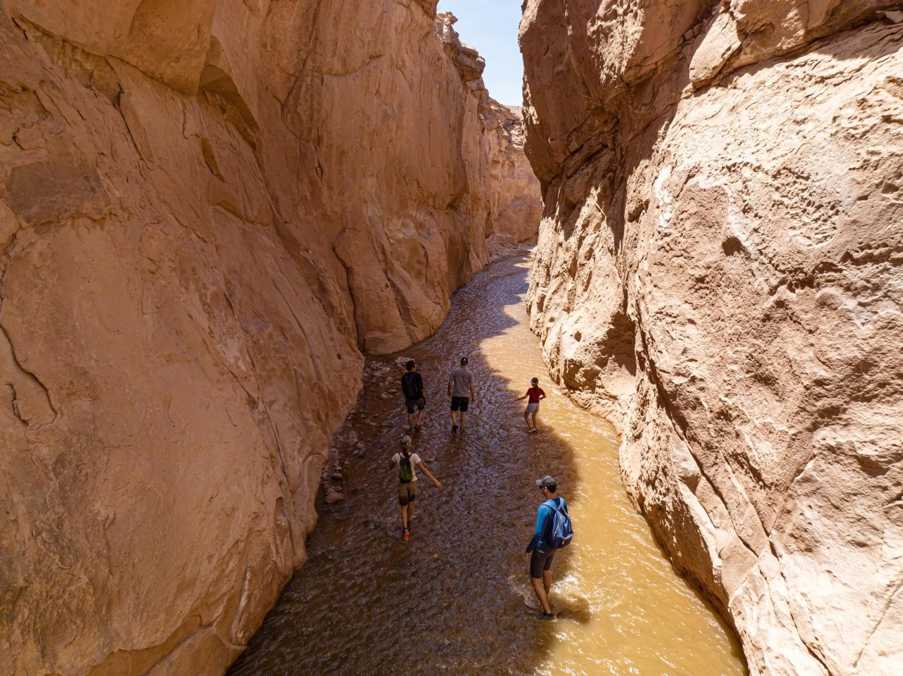 Hiking in Tierra Atacama
