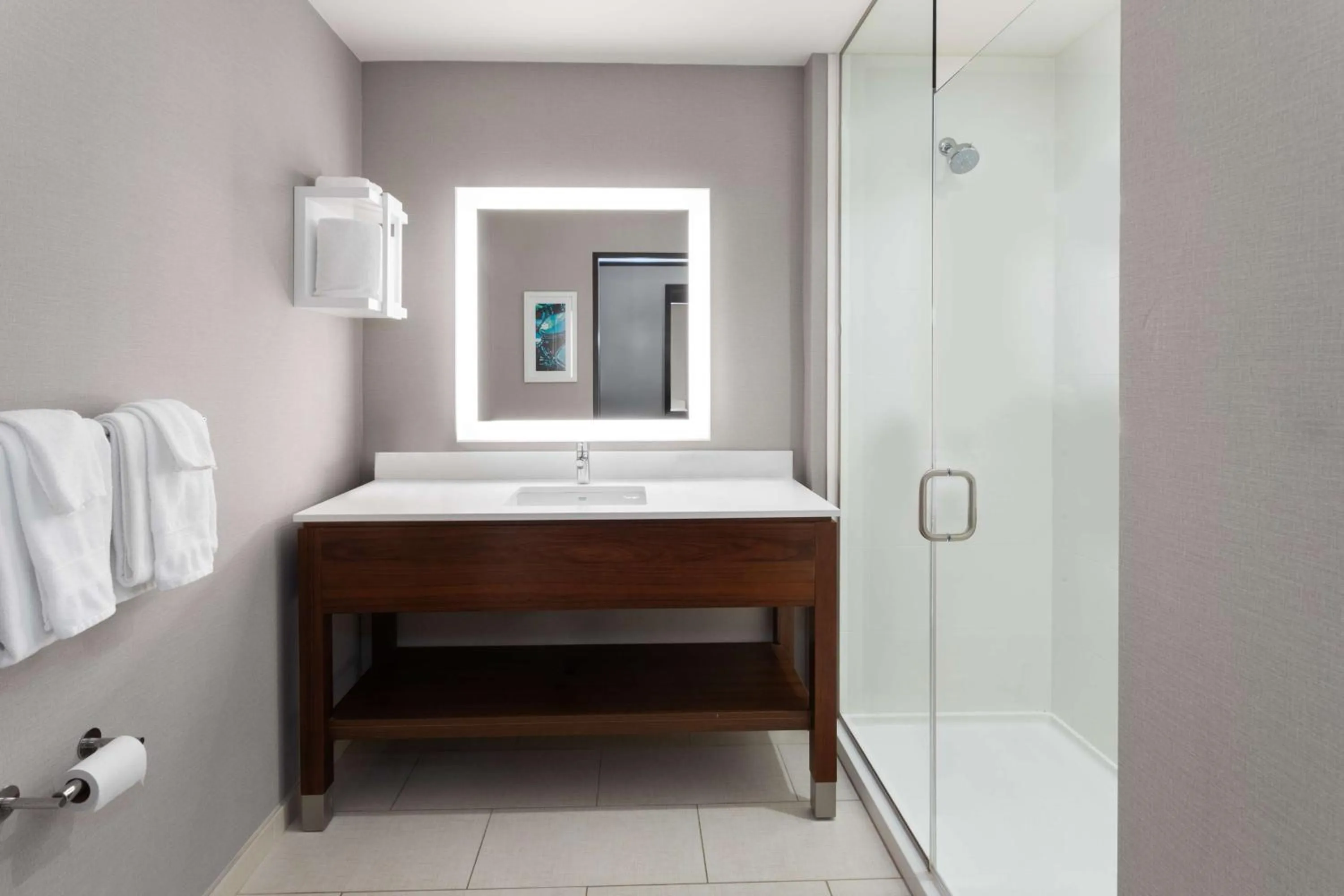 Bathroom, Bed in Hampton Inn by Hilton Nashville Airport Century Place