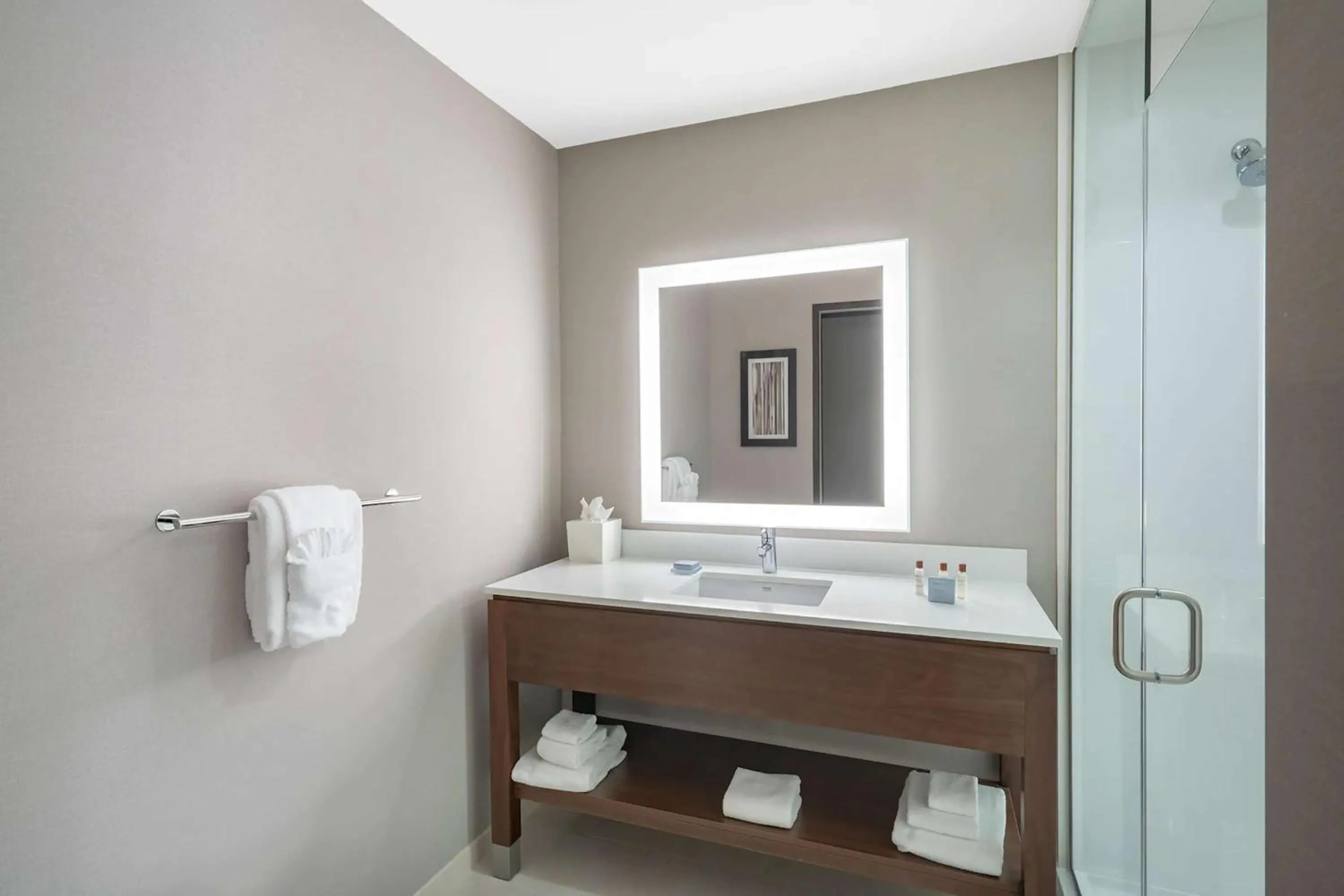 Bathroom in Hampton Inn by Hilton Nashville Airport Century Place