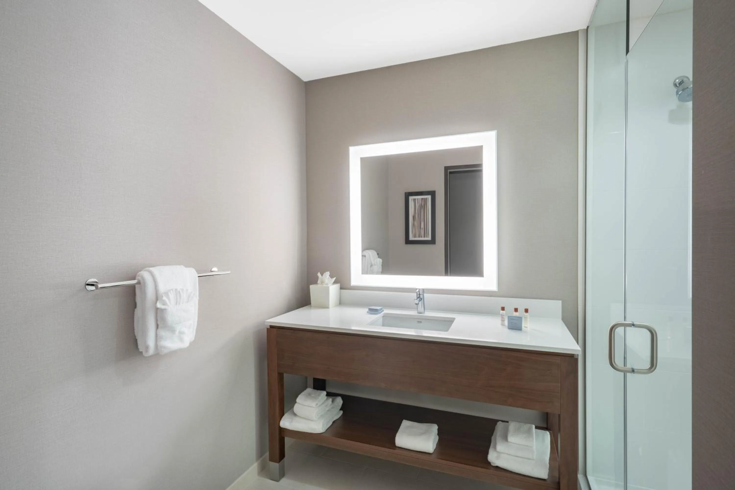 Bathroom in Hampton Inn by Hilton Nashville Airport Century Place