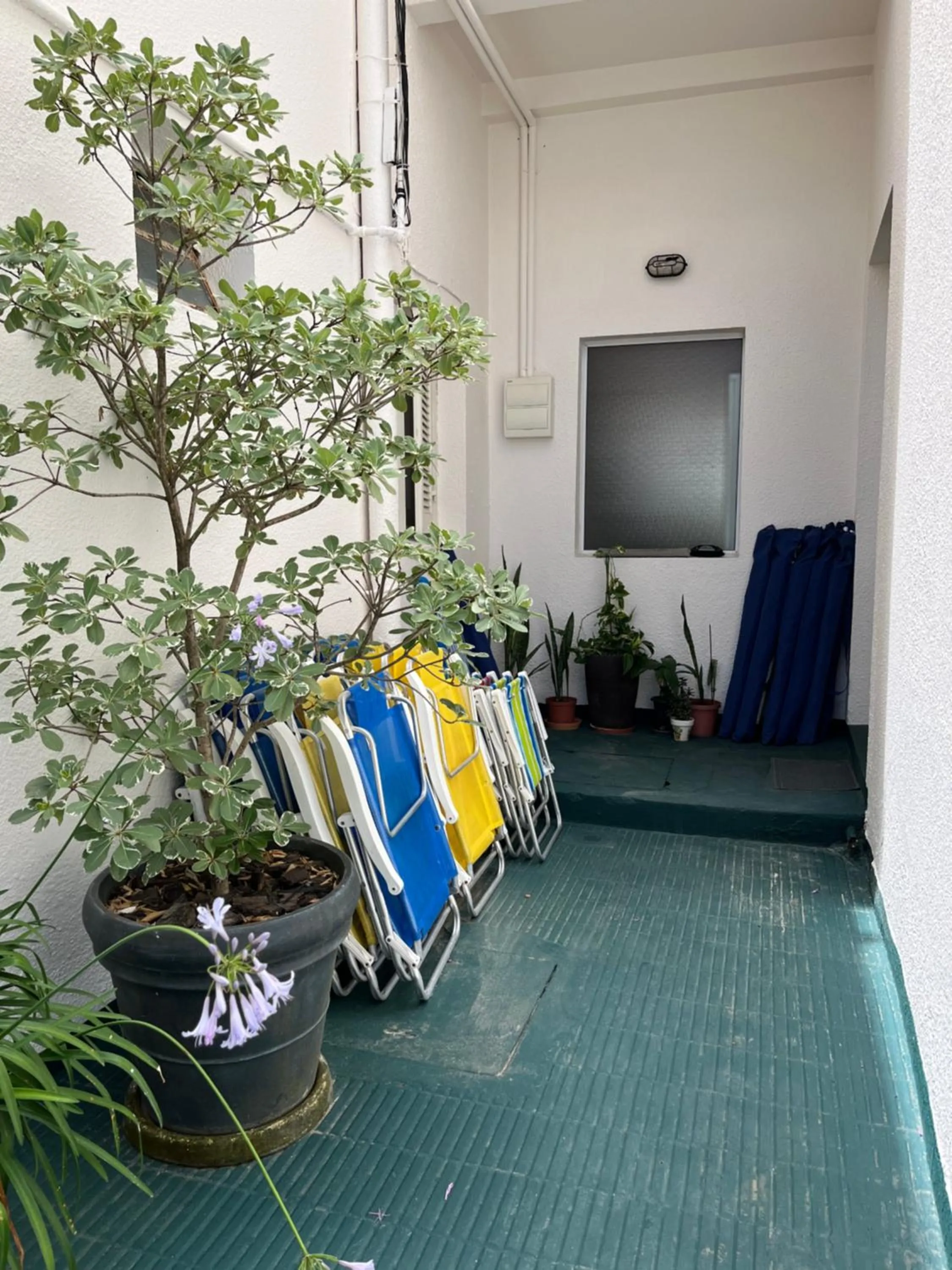 Day in Hotel Tamariz