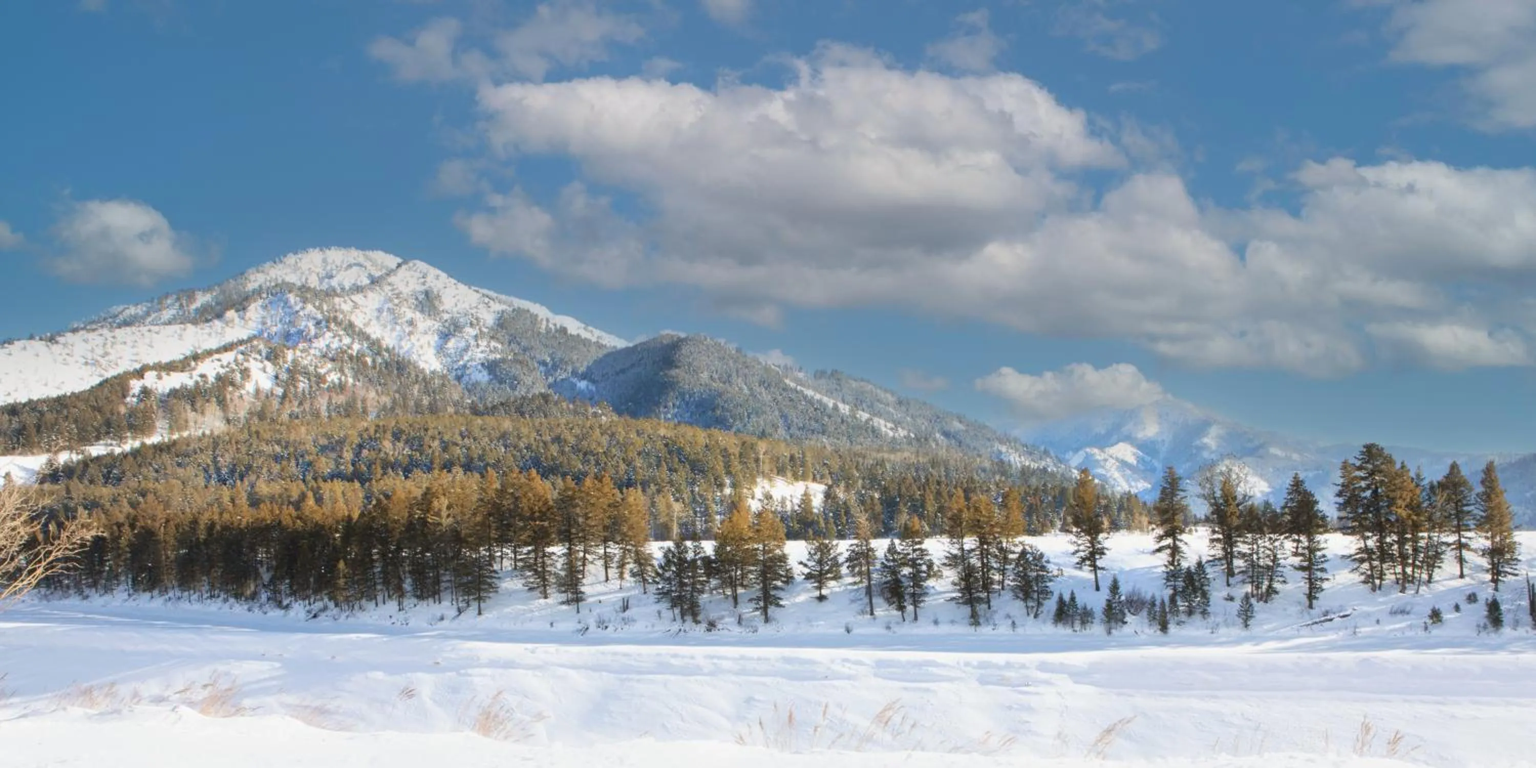 Day in Flying Saddle Resort and Steak House