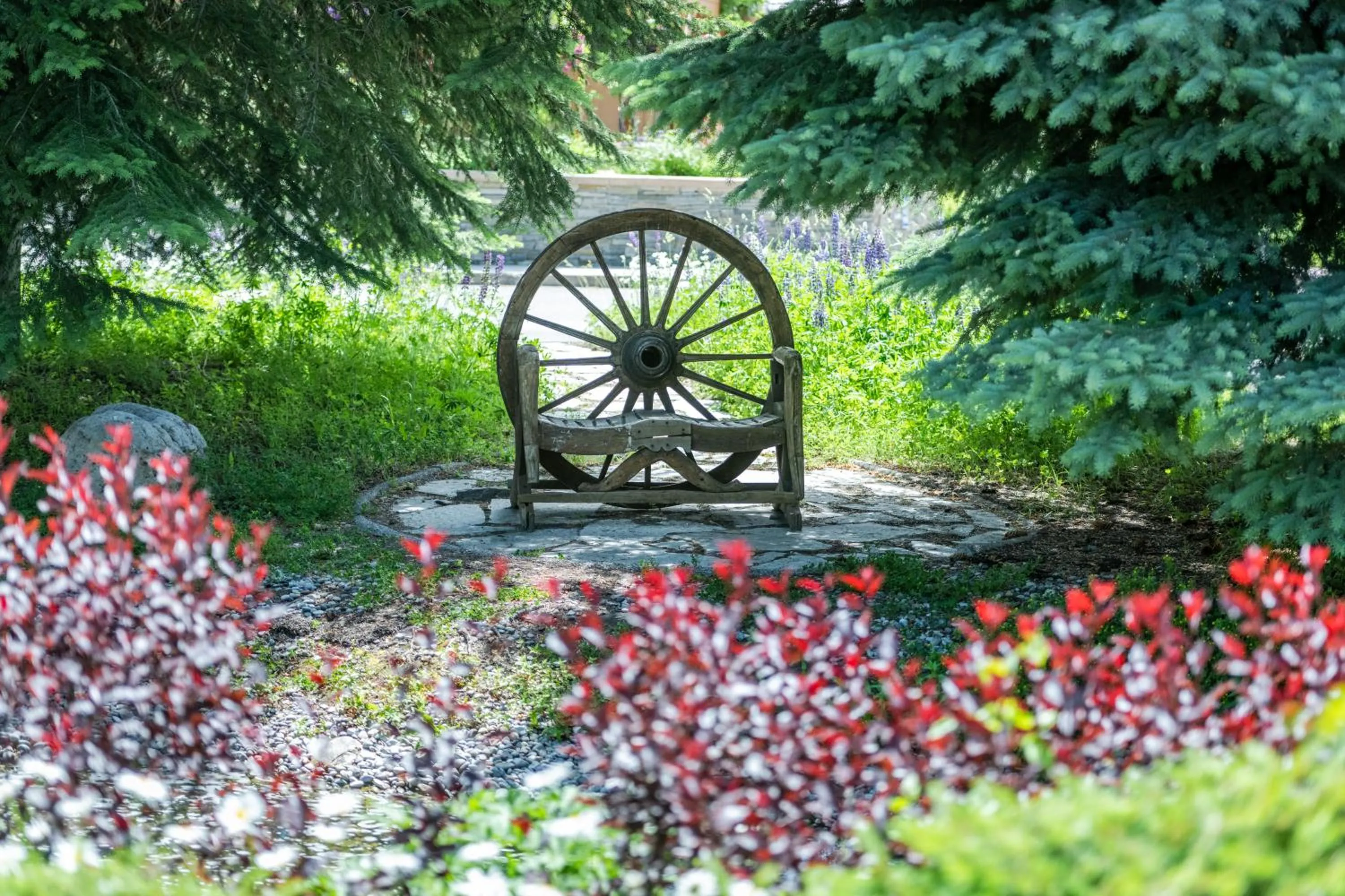 Garden in Flying Saddle Resort and Steak House