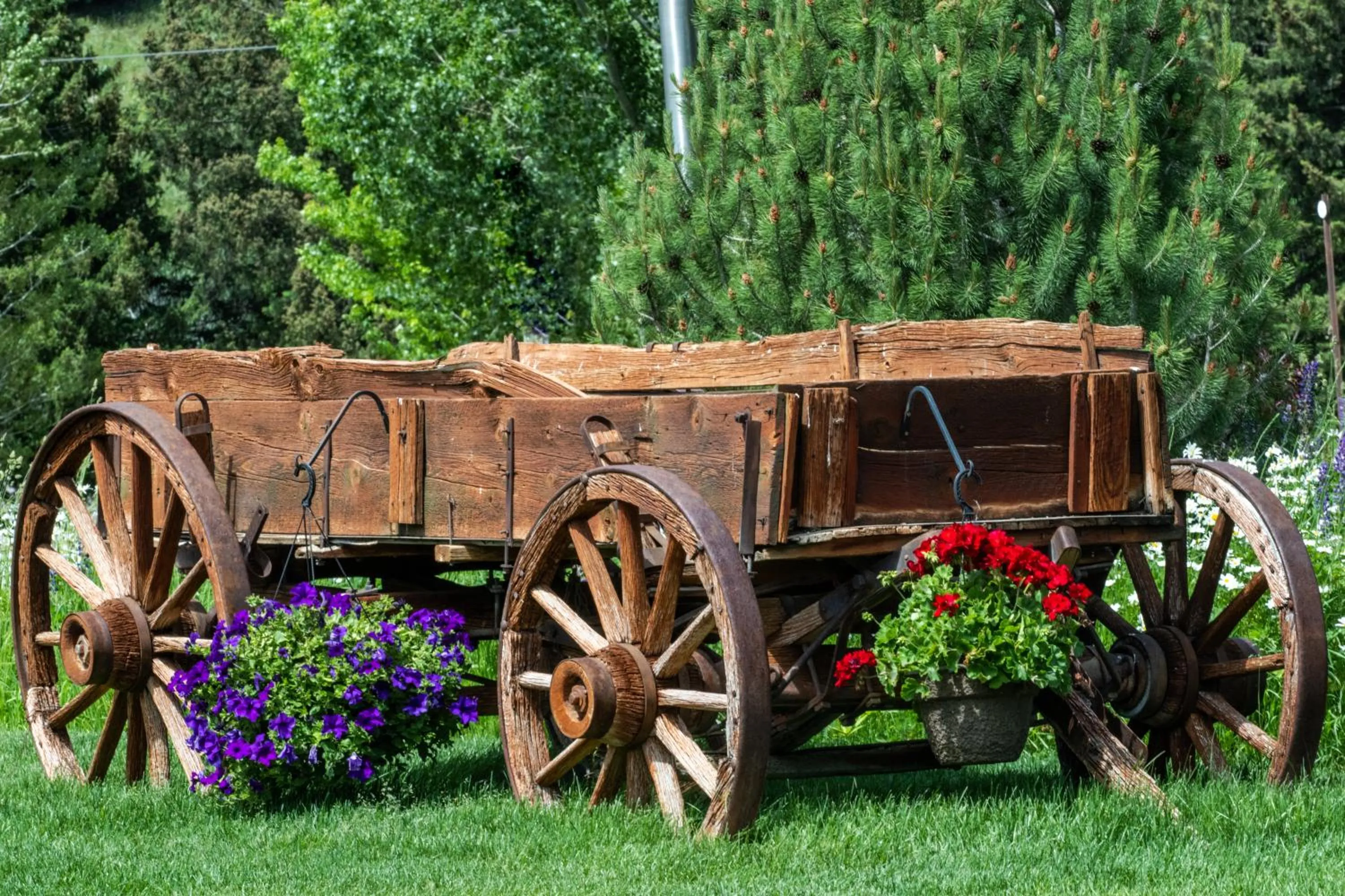 Garden in Flying Saddle Resort and Steak House