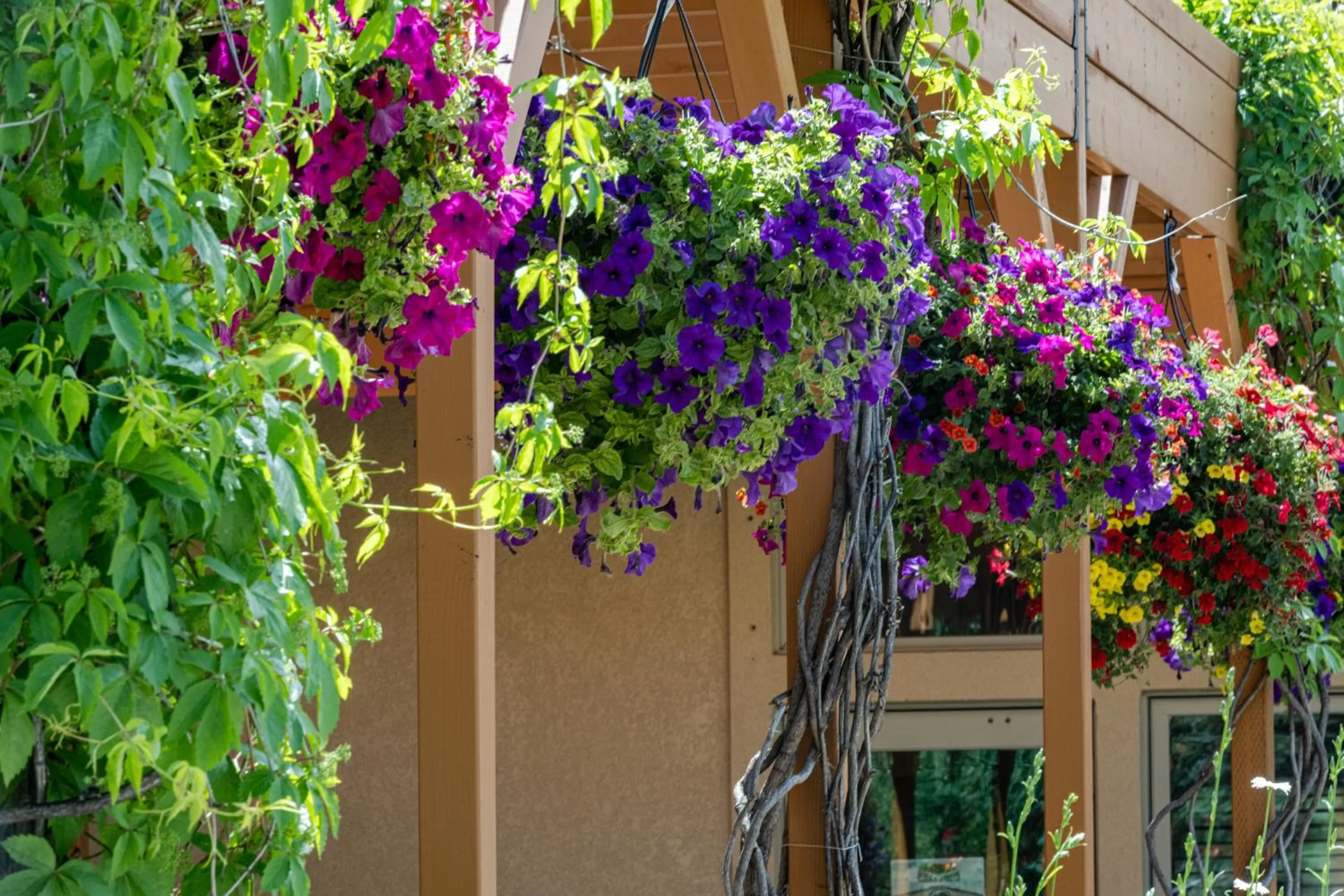 Garden in Flying Saddle Resort and Steak House