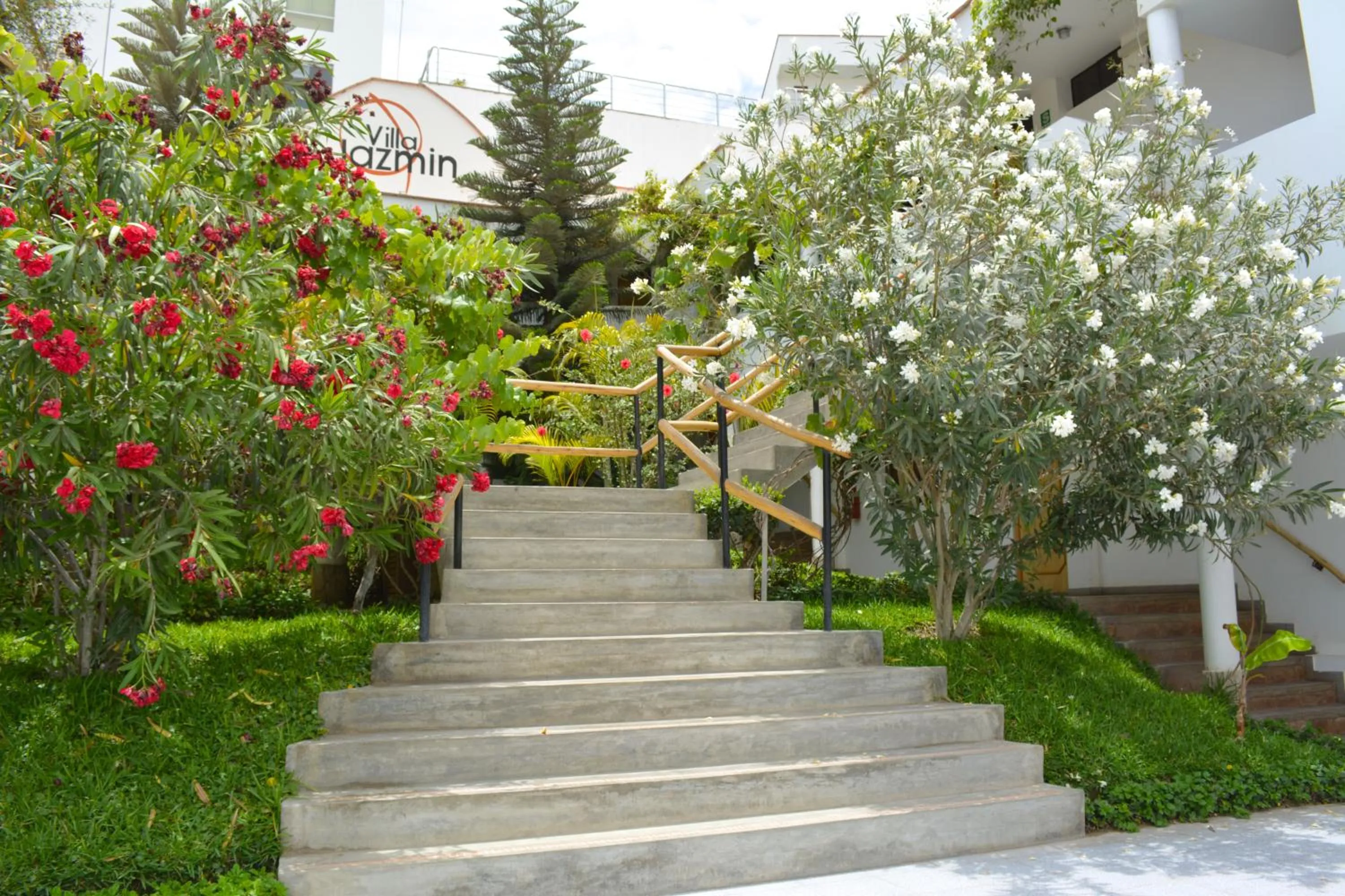 Garden in Hotel Villa Jazmin