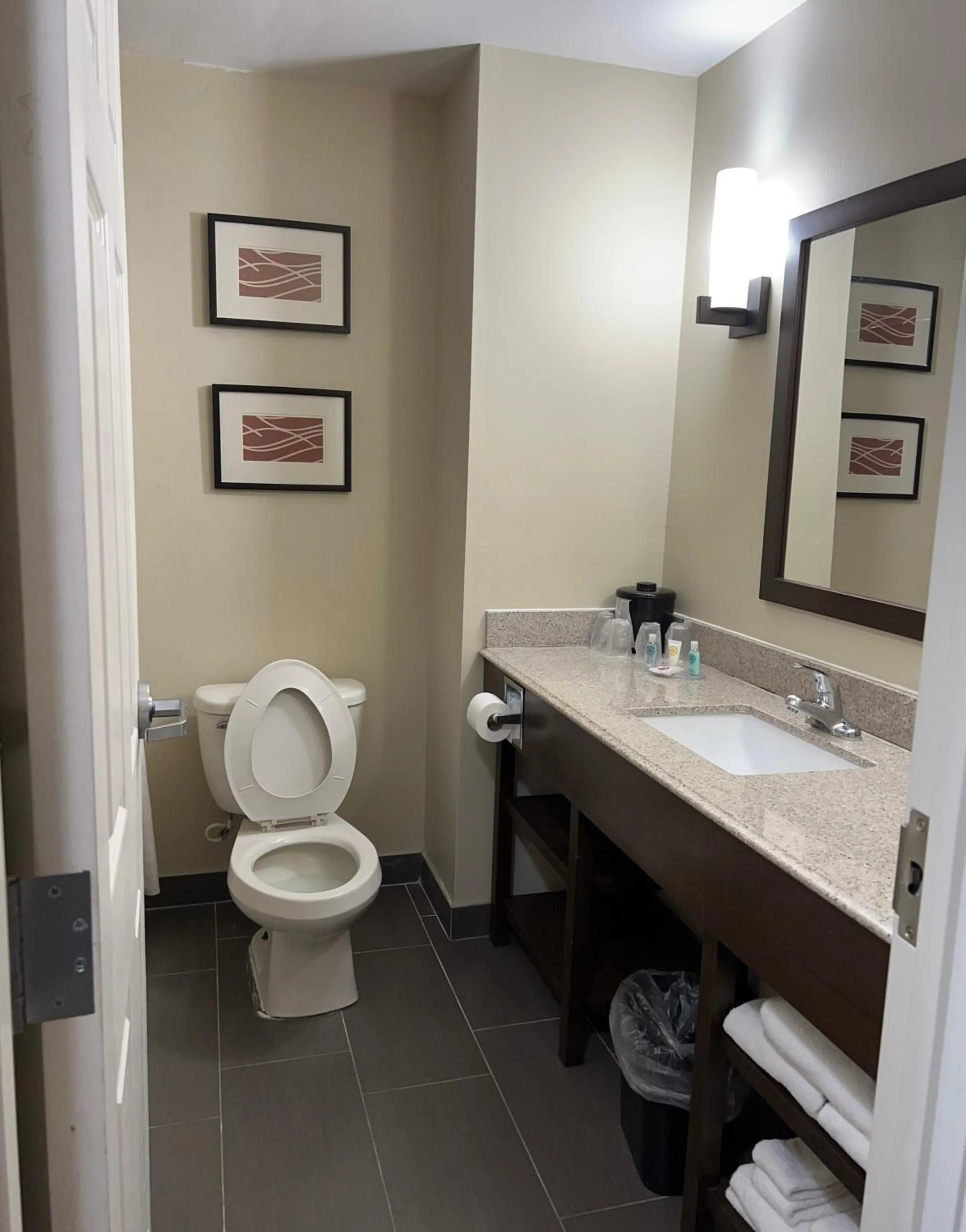Comfort Inn and Suites Manheim