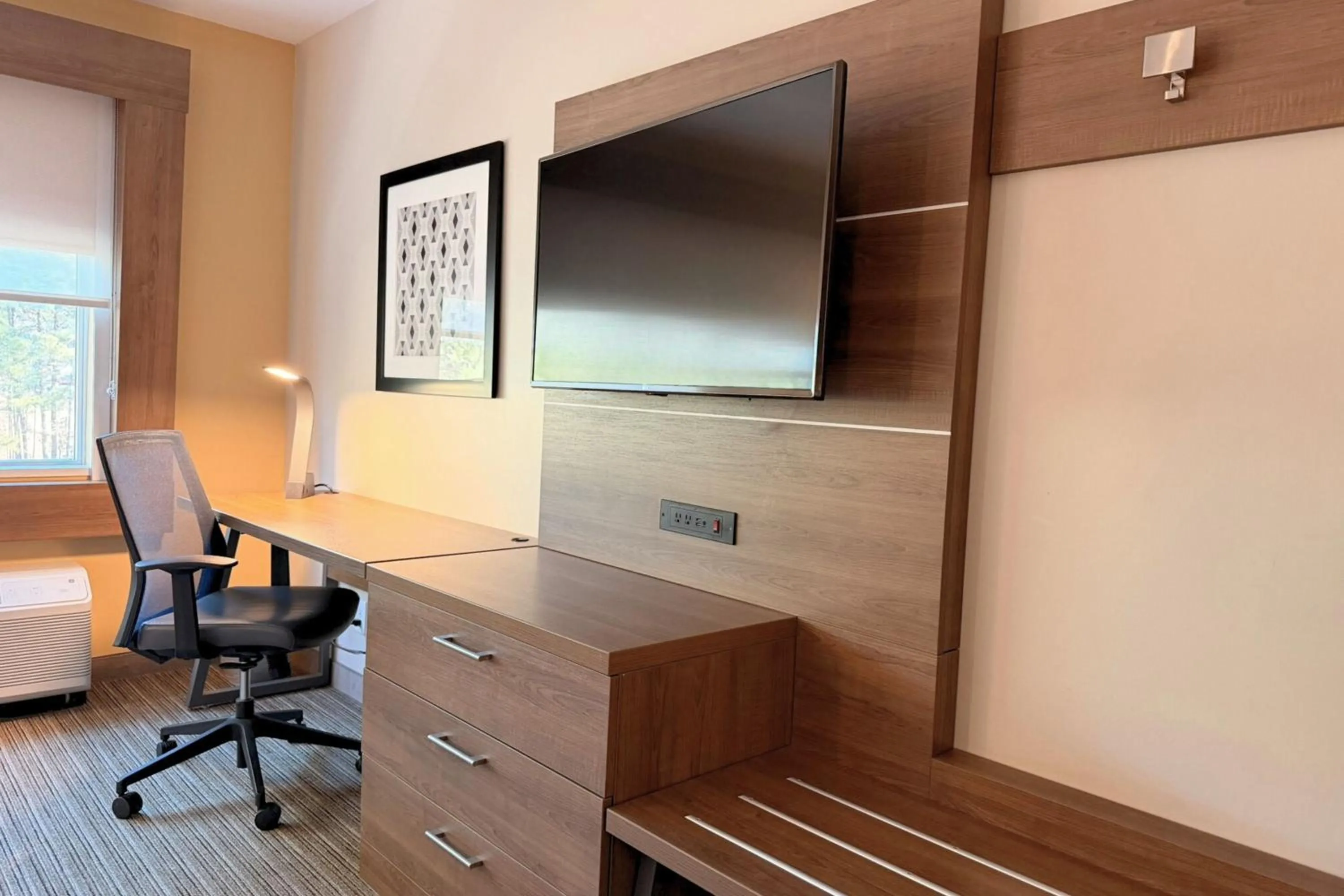 TV and multimedia in Holiday Inn Express & Suites Charlotte - Ballantyne by IHG