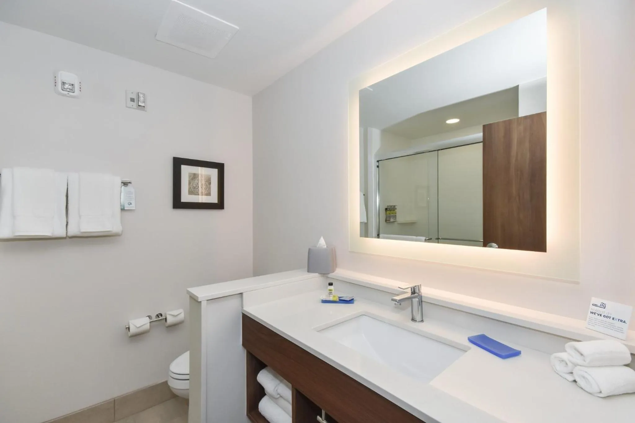 Bathroom in Holiday Inn Express & Suites Charlotte - Ballantyne by IHG