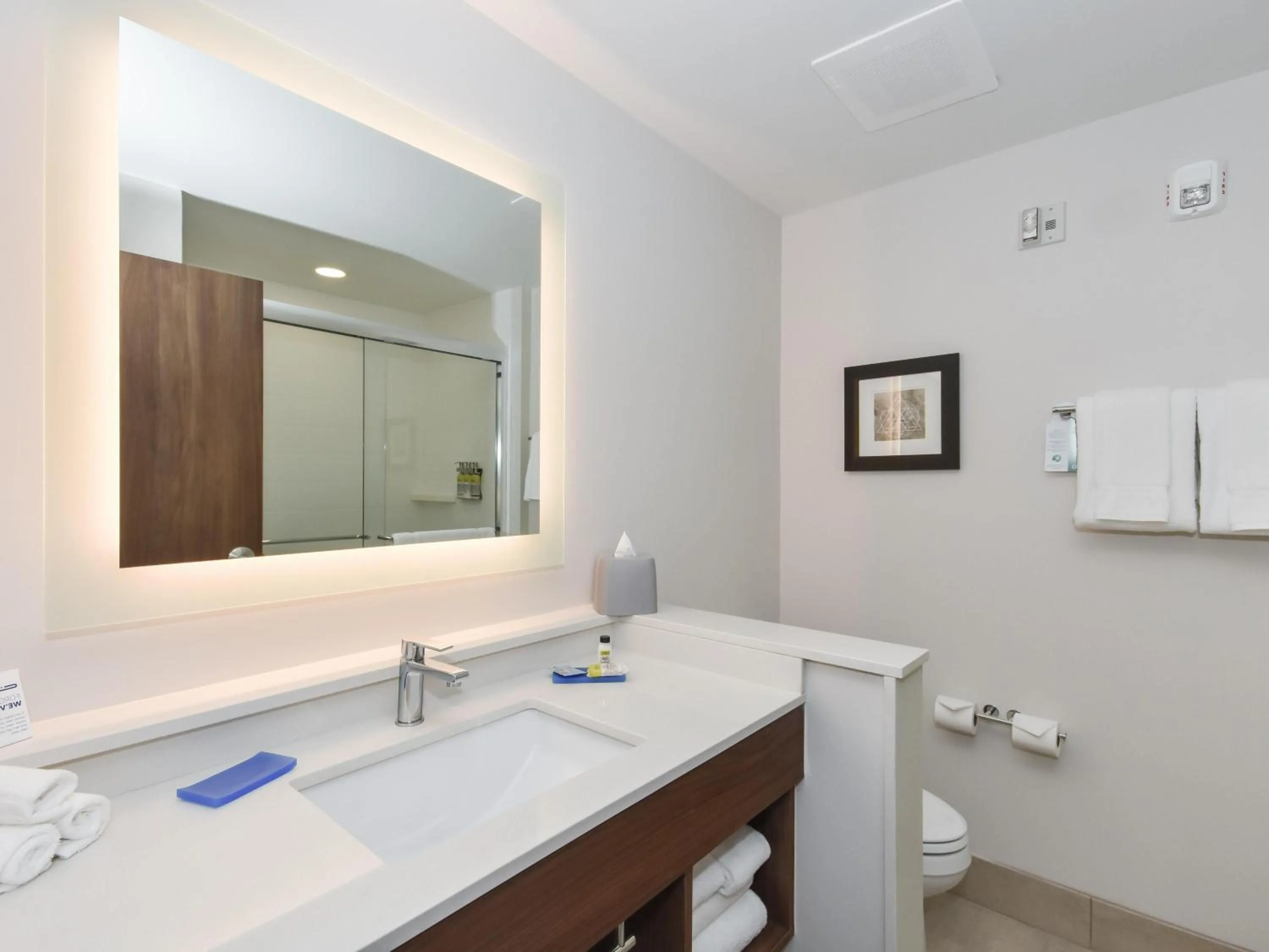 Bathroom in Holiday Inn Express & Suites Charlotte - Ballantyne by IHG