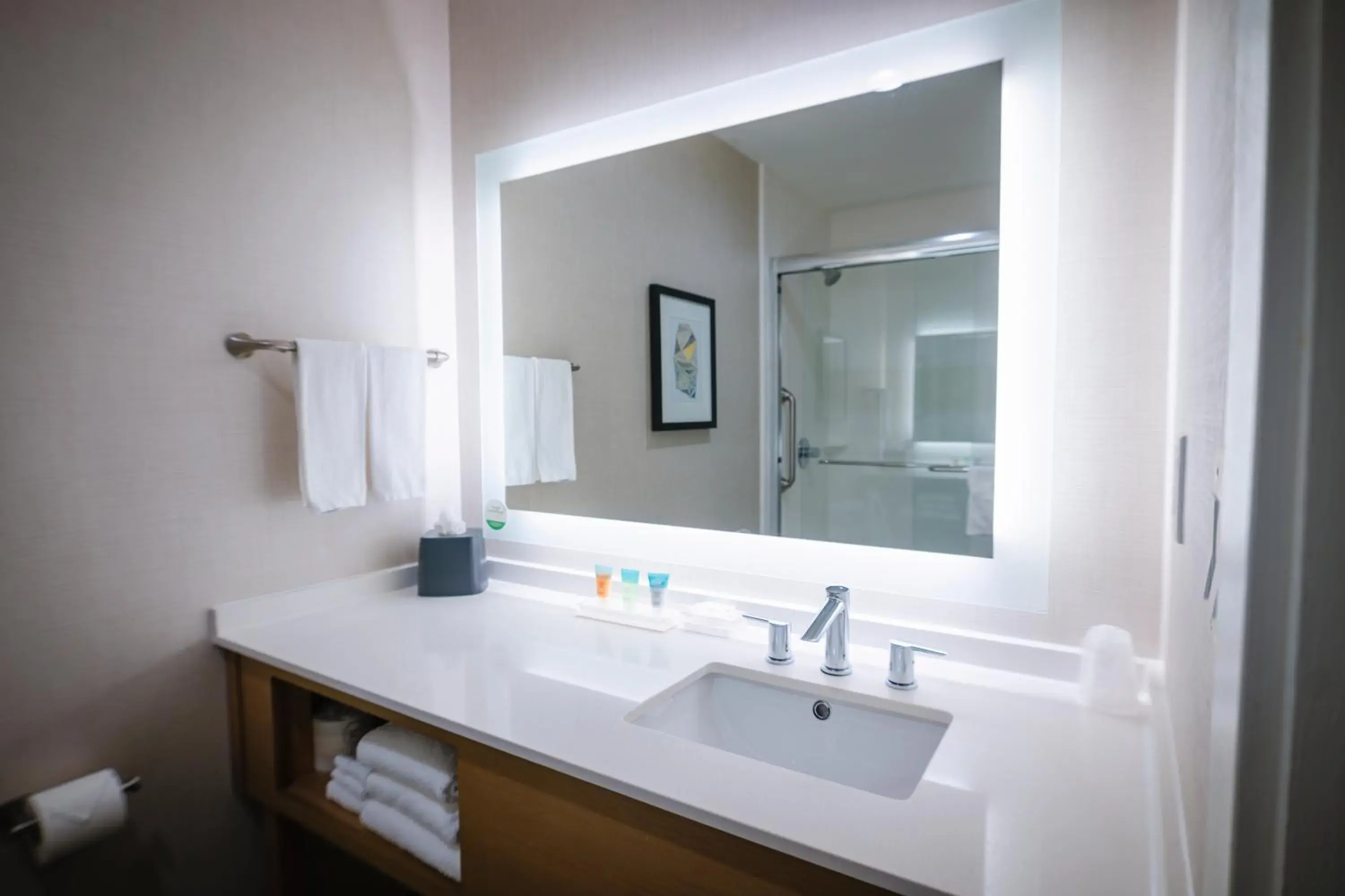 Standard King Room with Walk-In Shower in Holiday Inn & Suites Houston NW - Willowbrook by IHG Standard King Room with Walk-In Shower in Holiday Inn & Suites Houston NW - Willowbrook by IHG