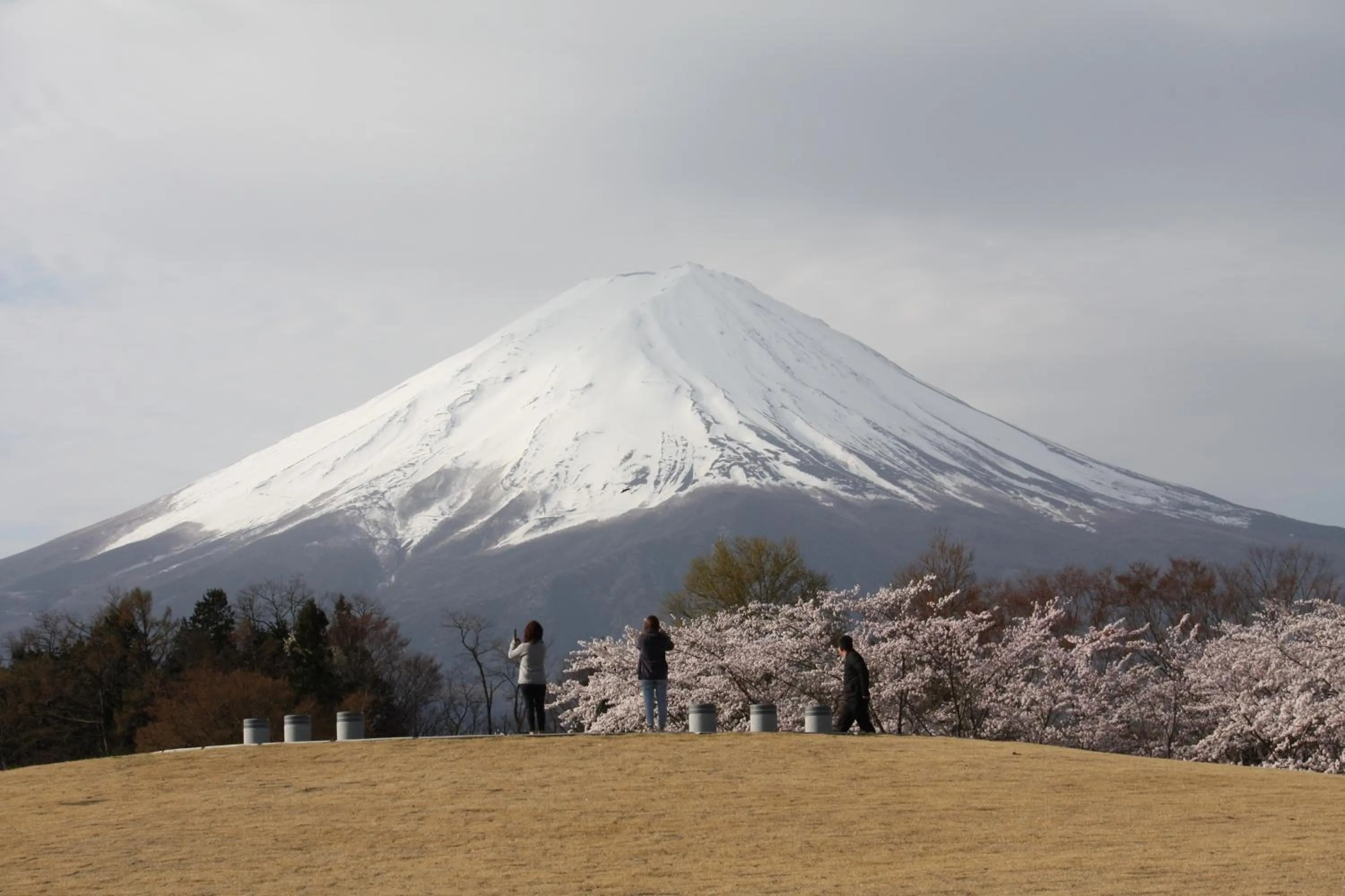 Nearby landmark in HOSTEL MICHIKUSA-YA
