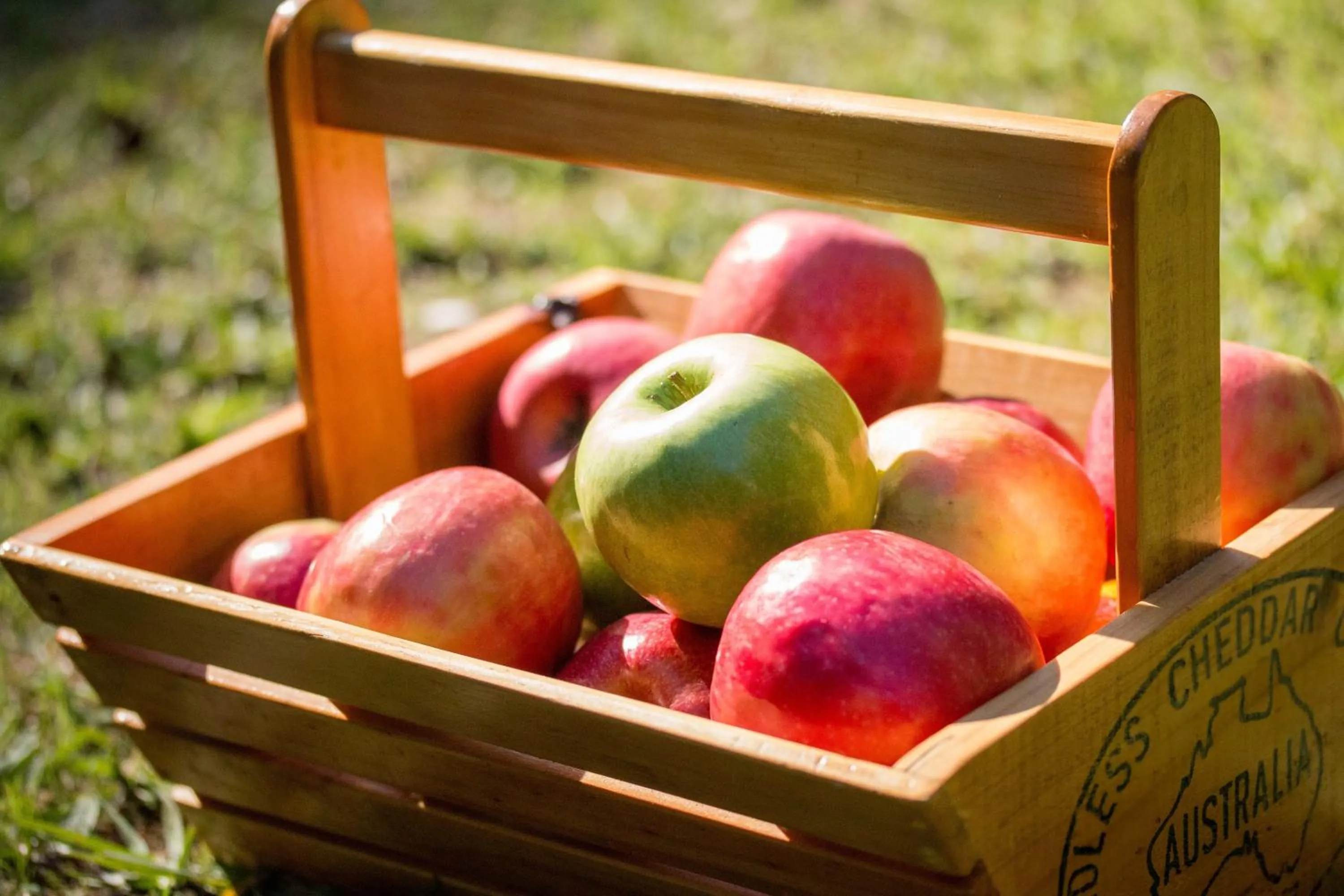 Area and facilities in Riverglen Chalets