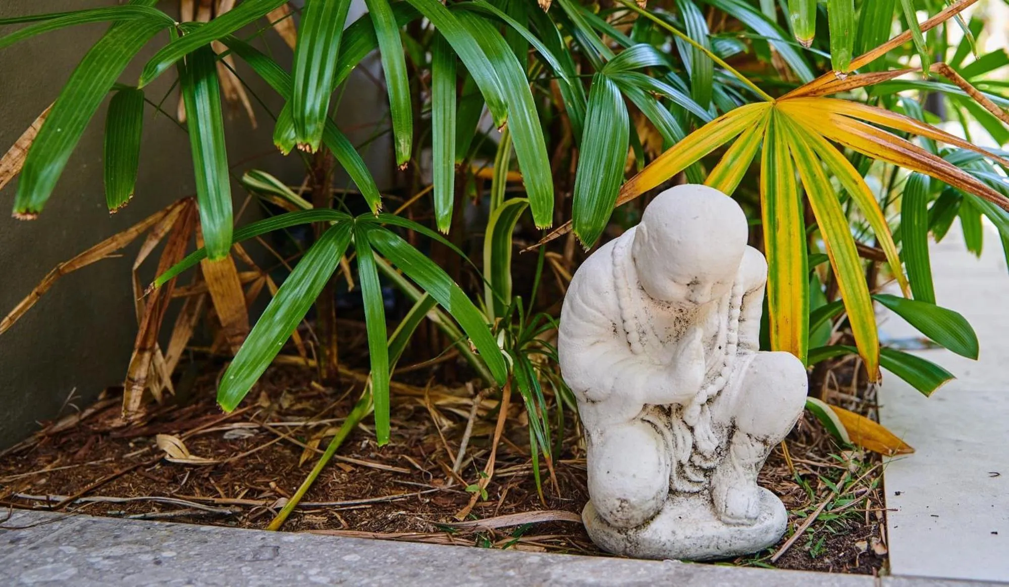 Garden in Julians Apartments