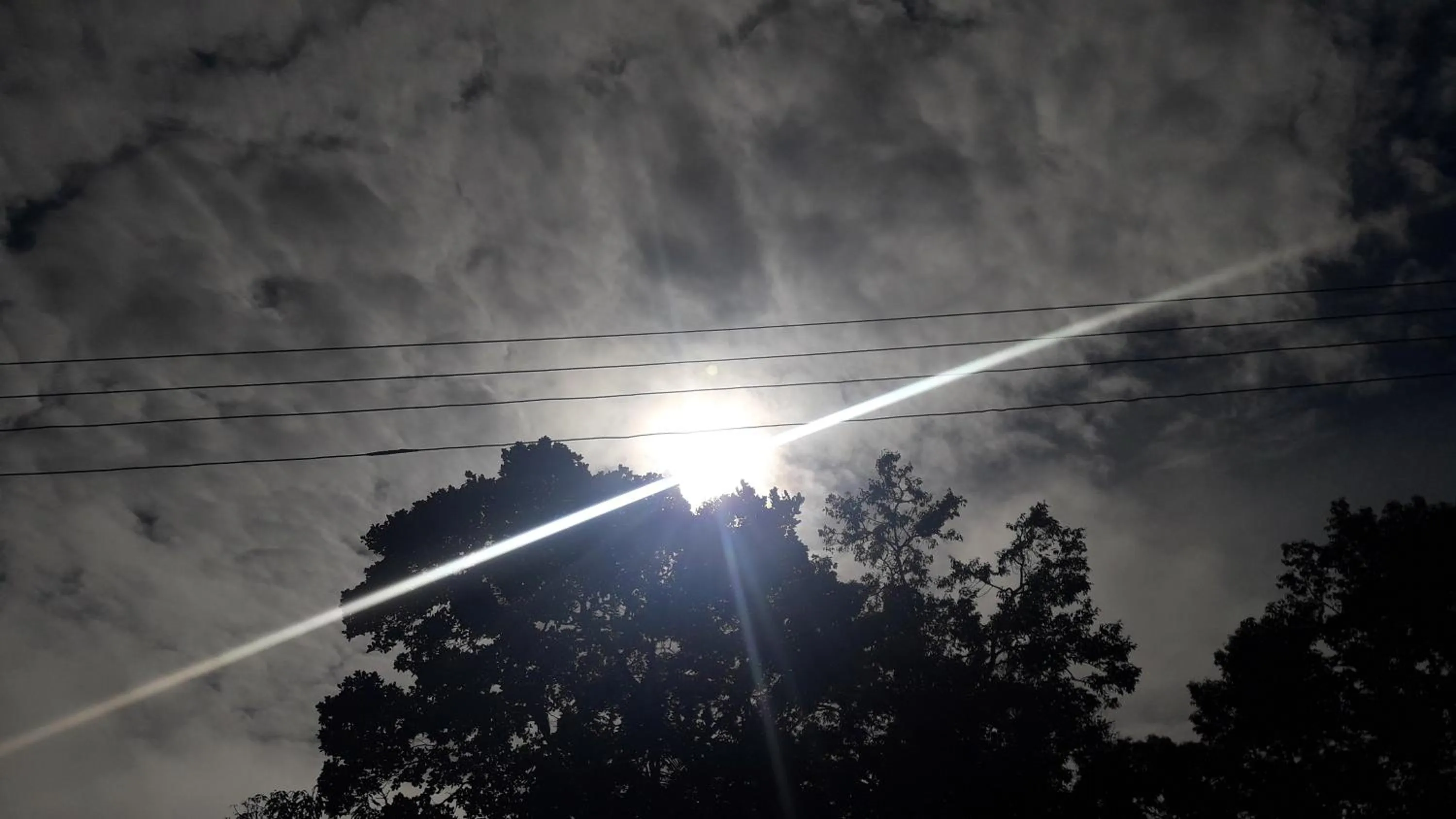 Garden in Ella Nature Life Guest & Resturant