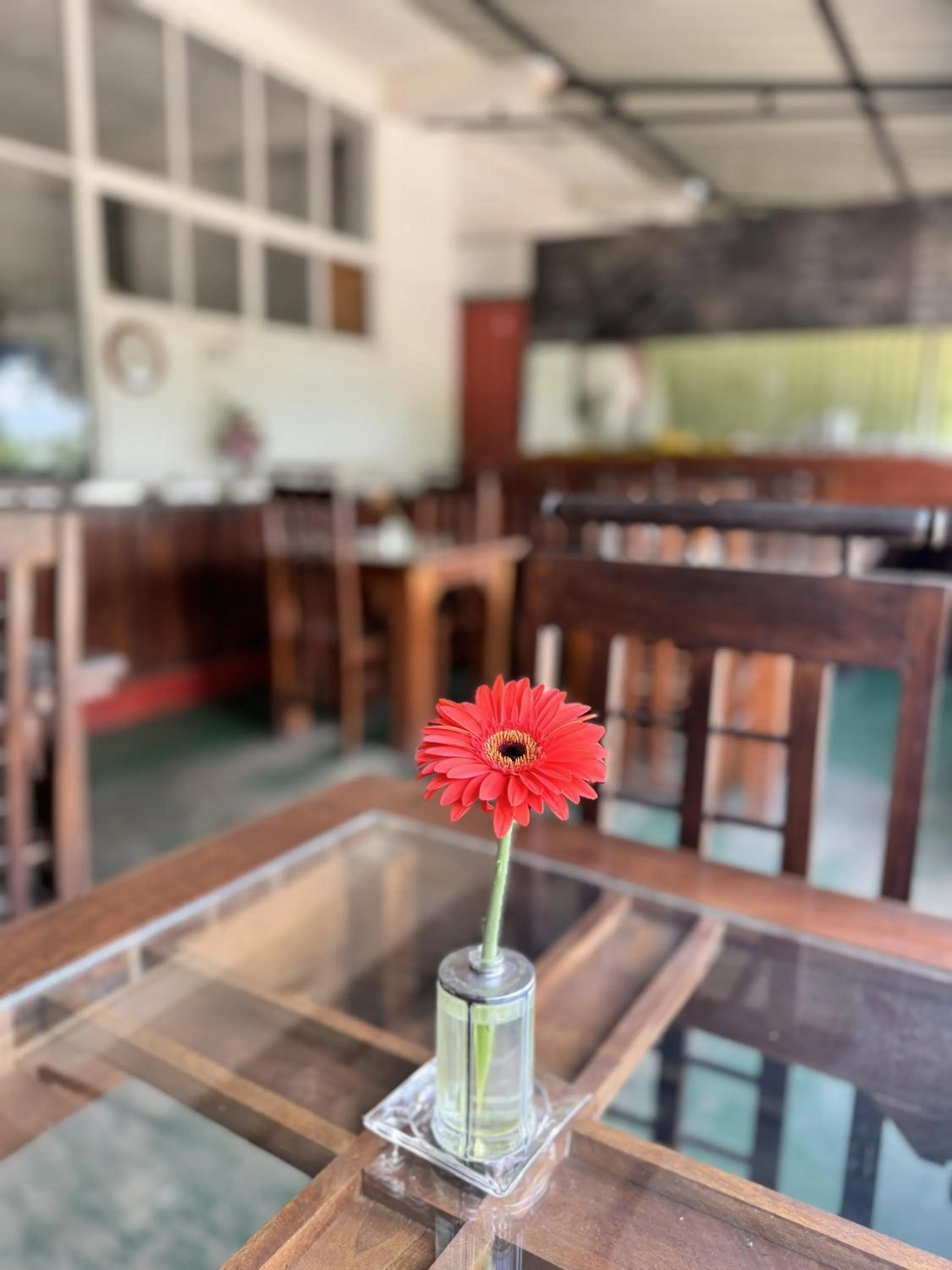 Restaurant/places to eat in Ella Nature Life Guest & Resturant