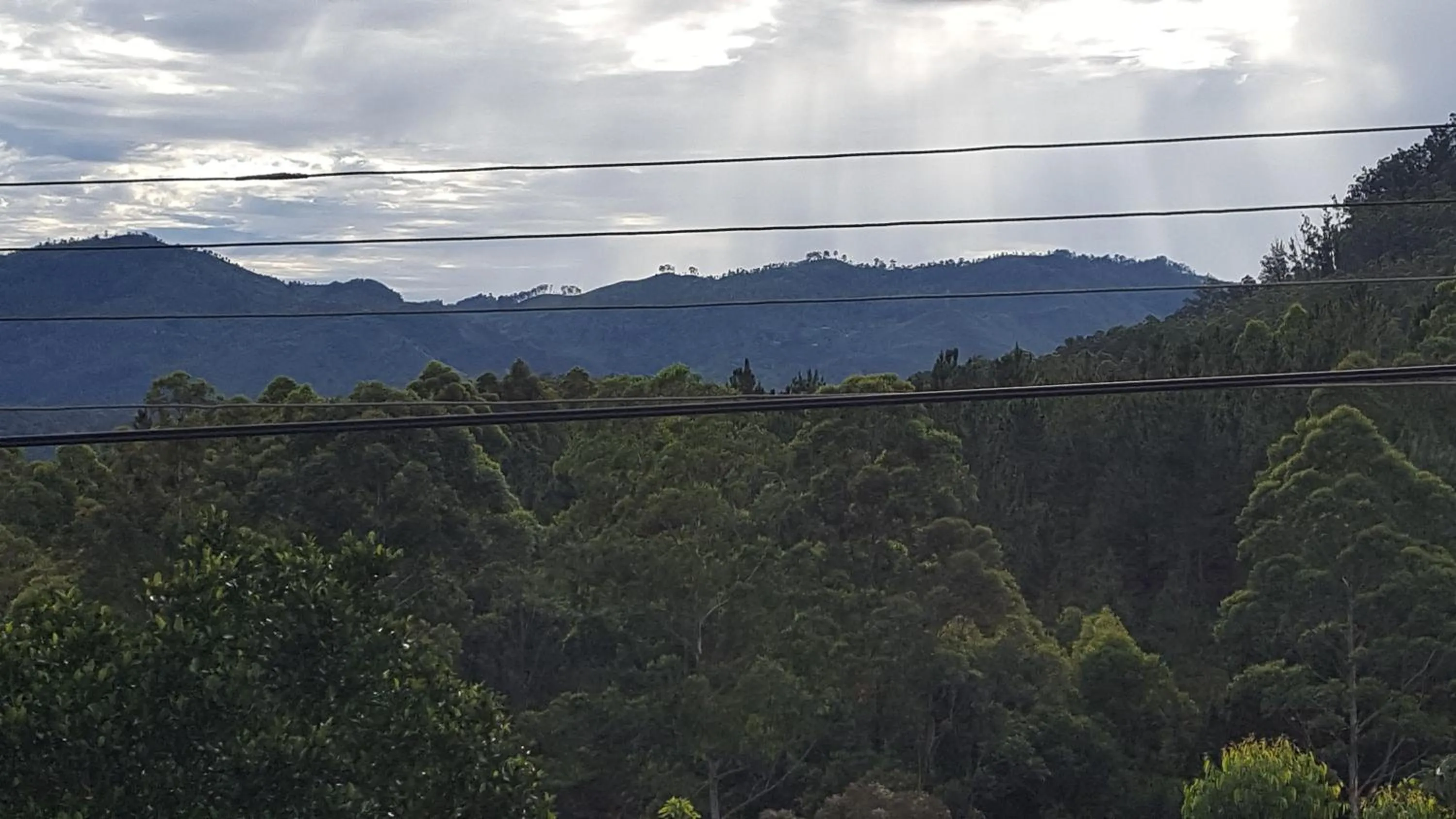 Garden in Ella Nature Life Guest & Resturant