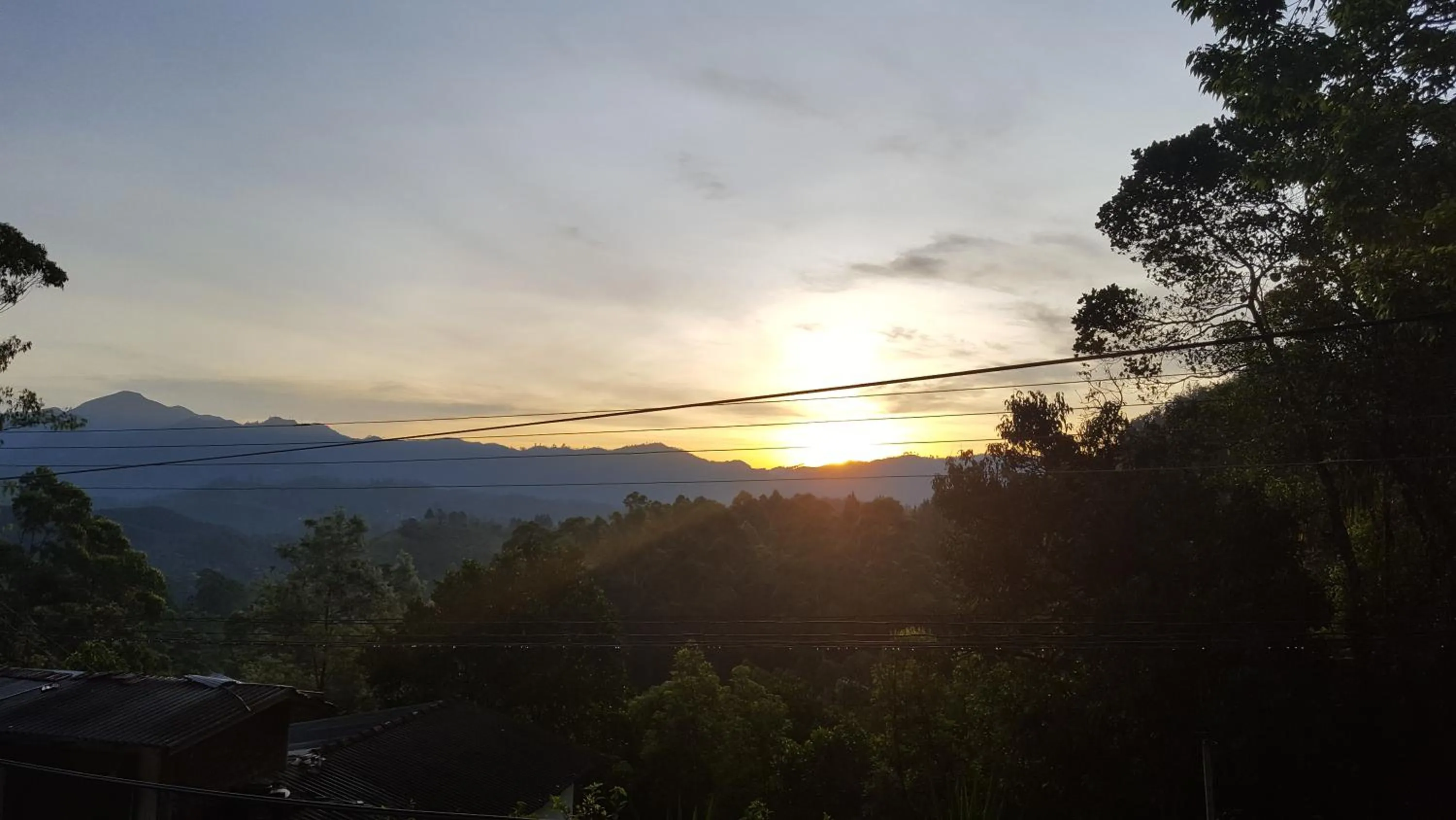 Garden in Ella Nature Life Guest & Resturant