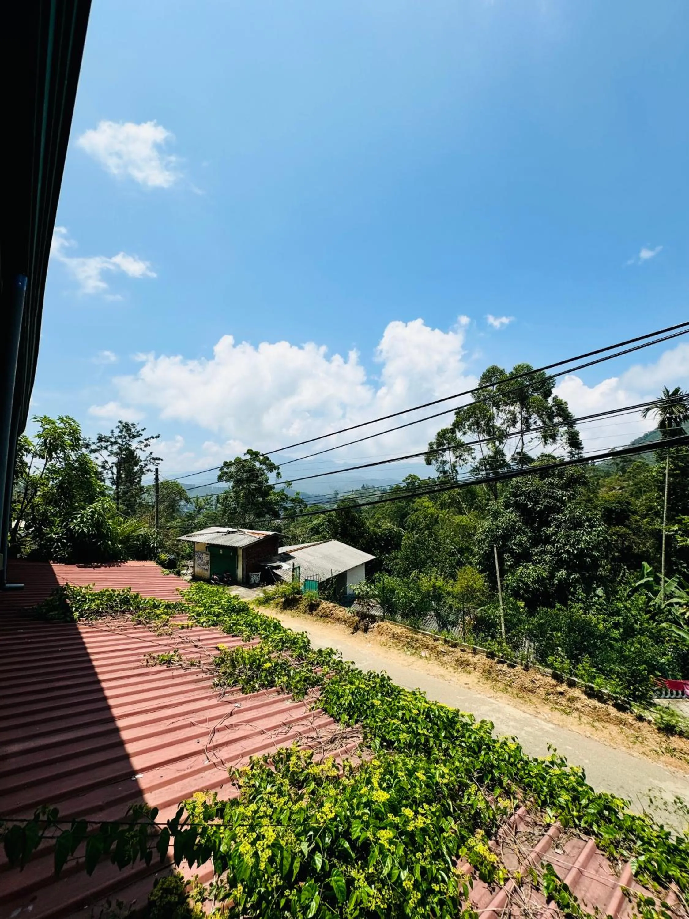 Spring in Ella Nature Life Guest & Resturant