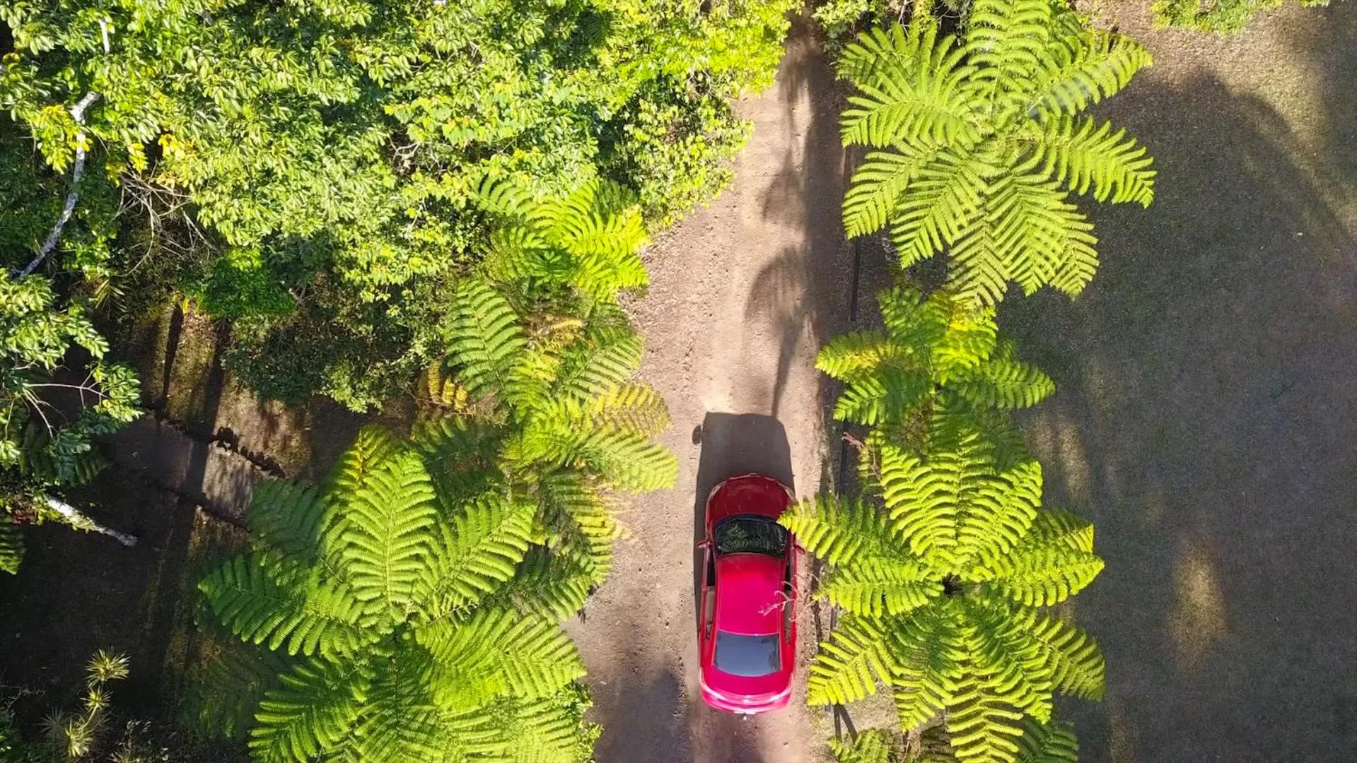 Day in Chambers Wildlife Rainforest Lodges