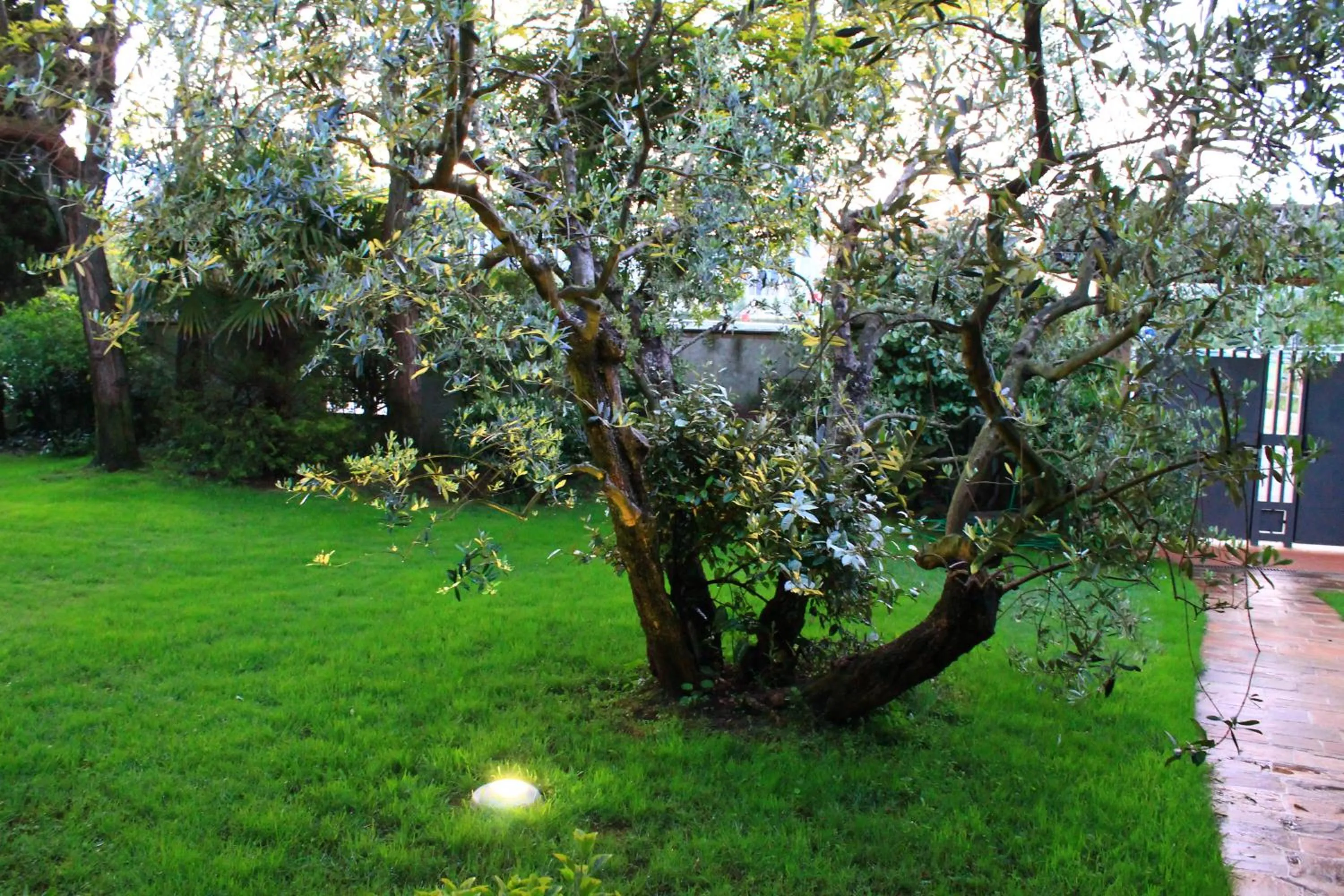 Garden in B&BLaTosca