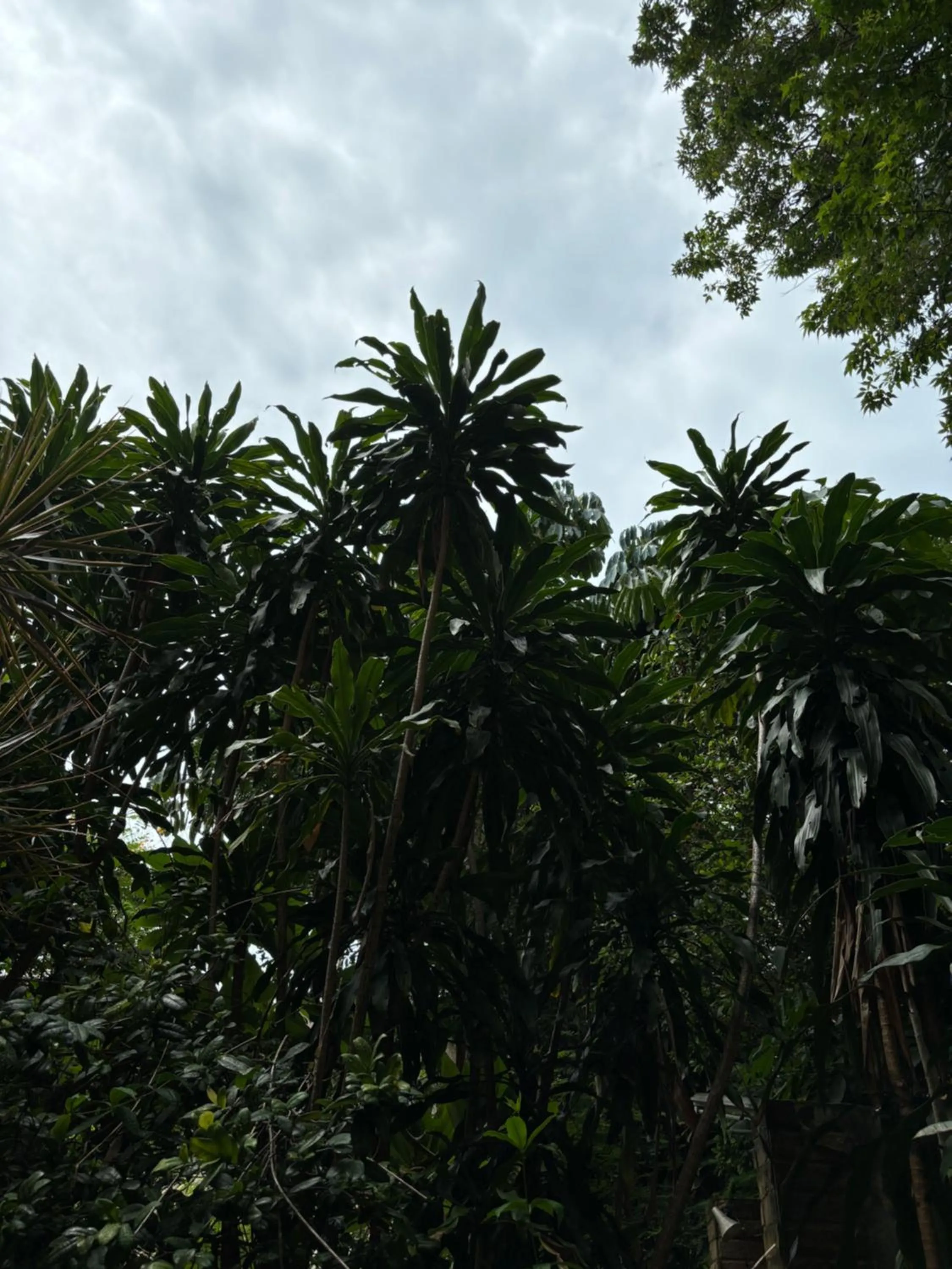 Bonny Hotel 4 Floors No Elevator