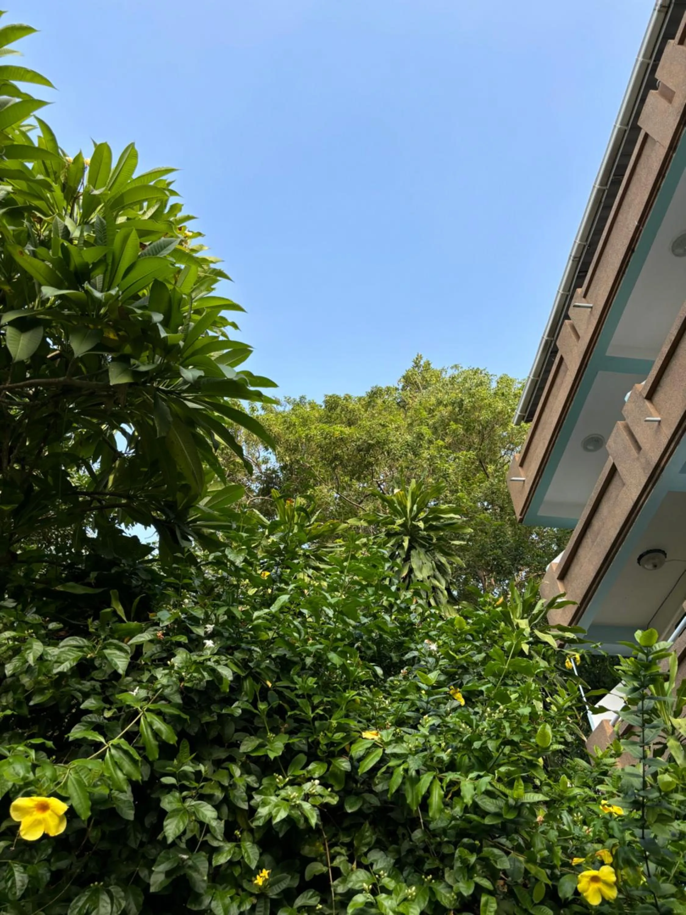 Bonny Hotel 4 Floors No Elevator