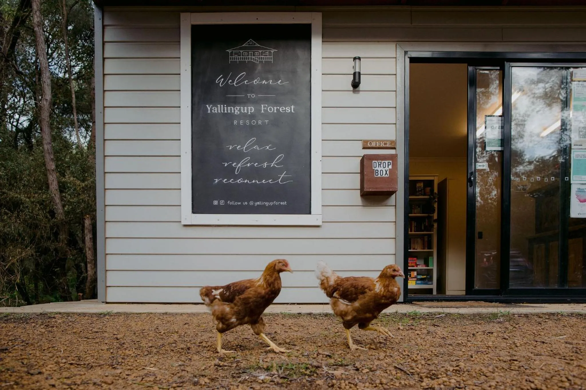 Animals in Yallingup Forest Resort