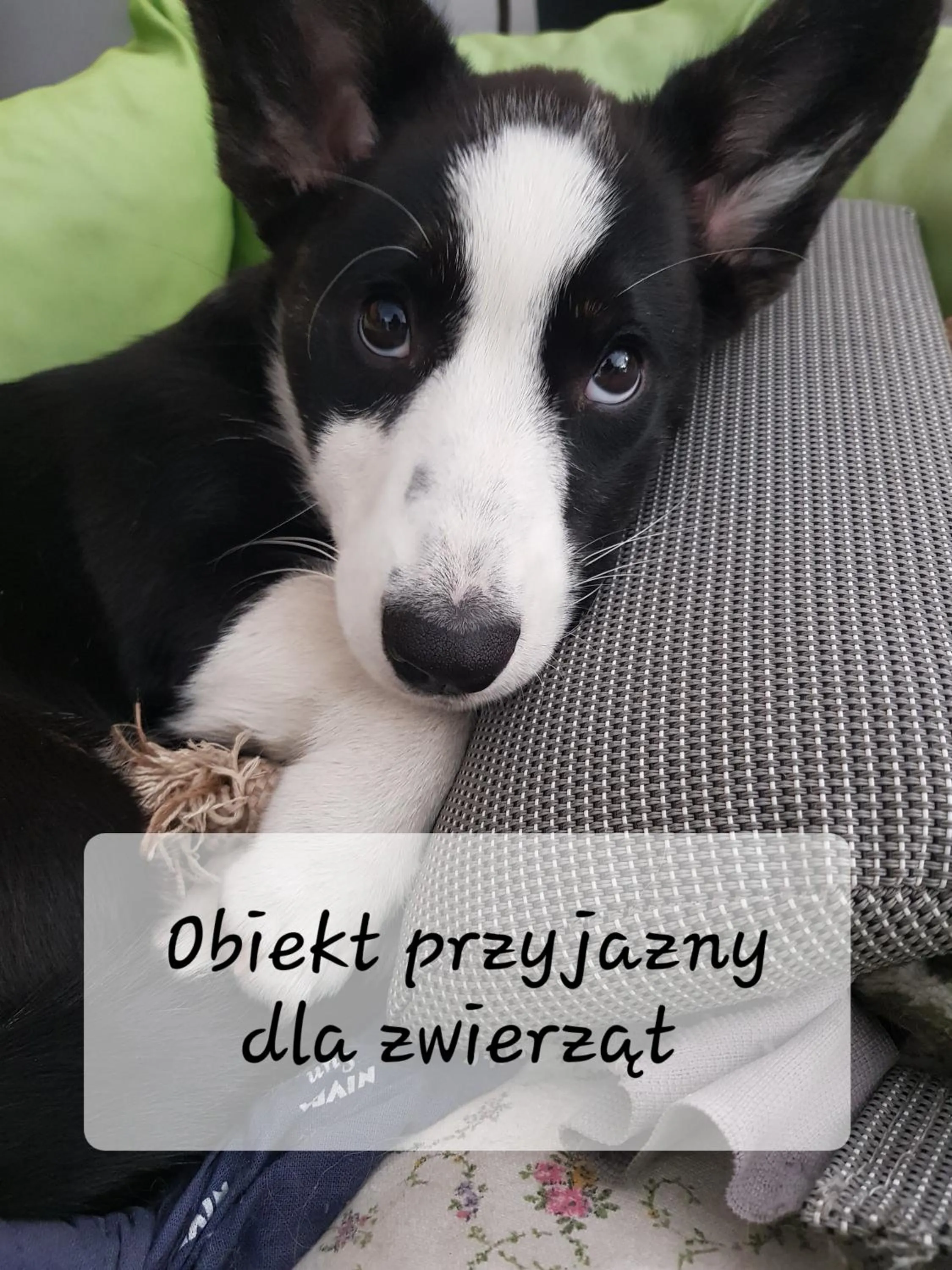 HOTEL "ZAUŁEK" Spółka Cywilna Zbigniew Świderski, Elżbieta Świderska