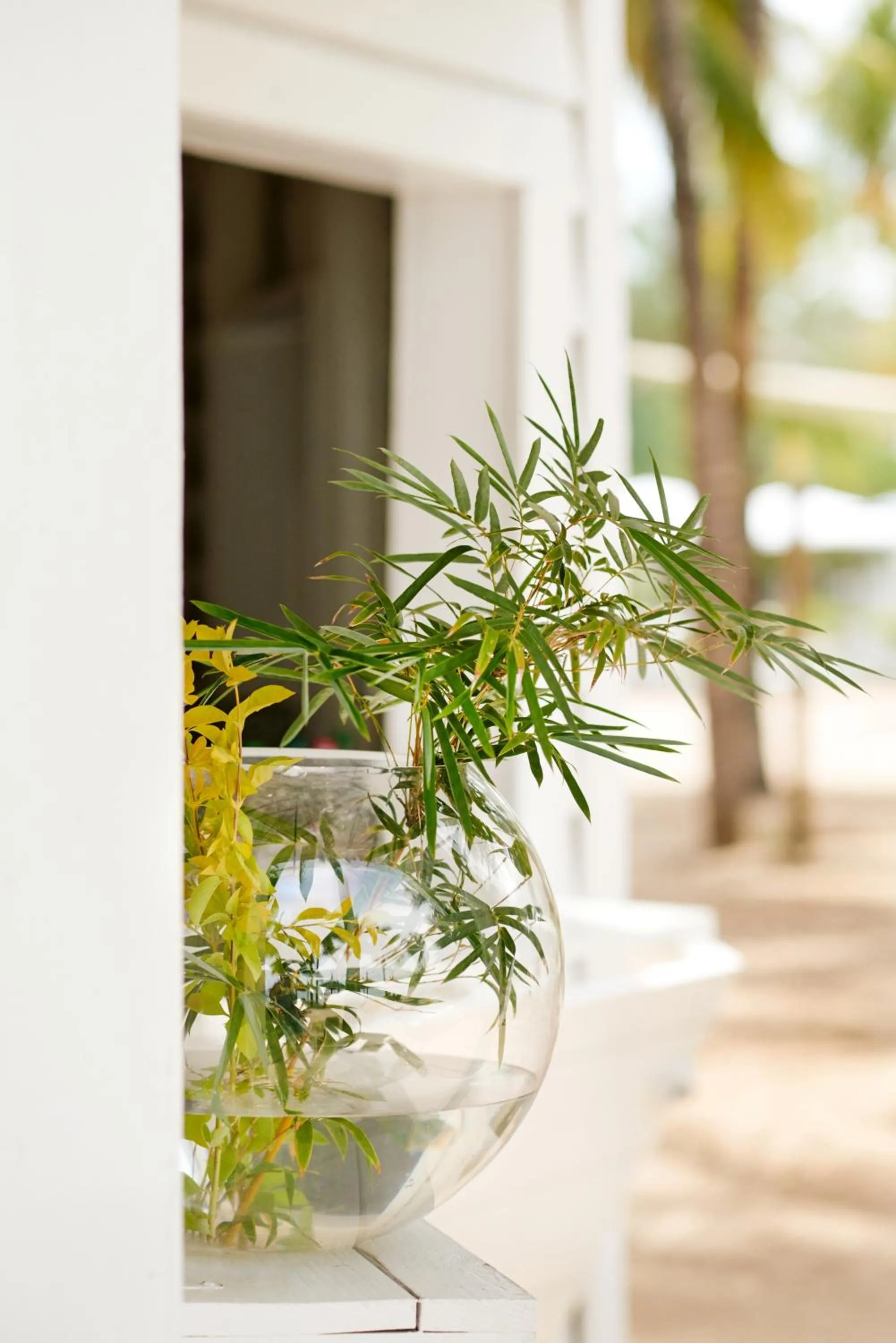 Decorative detail in The Ravenala Attitude