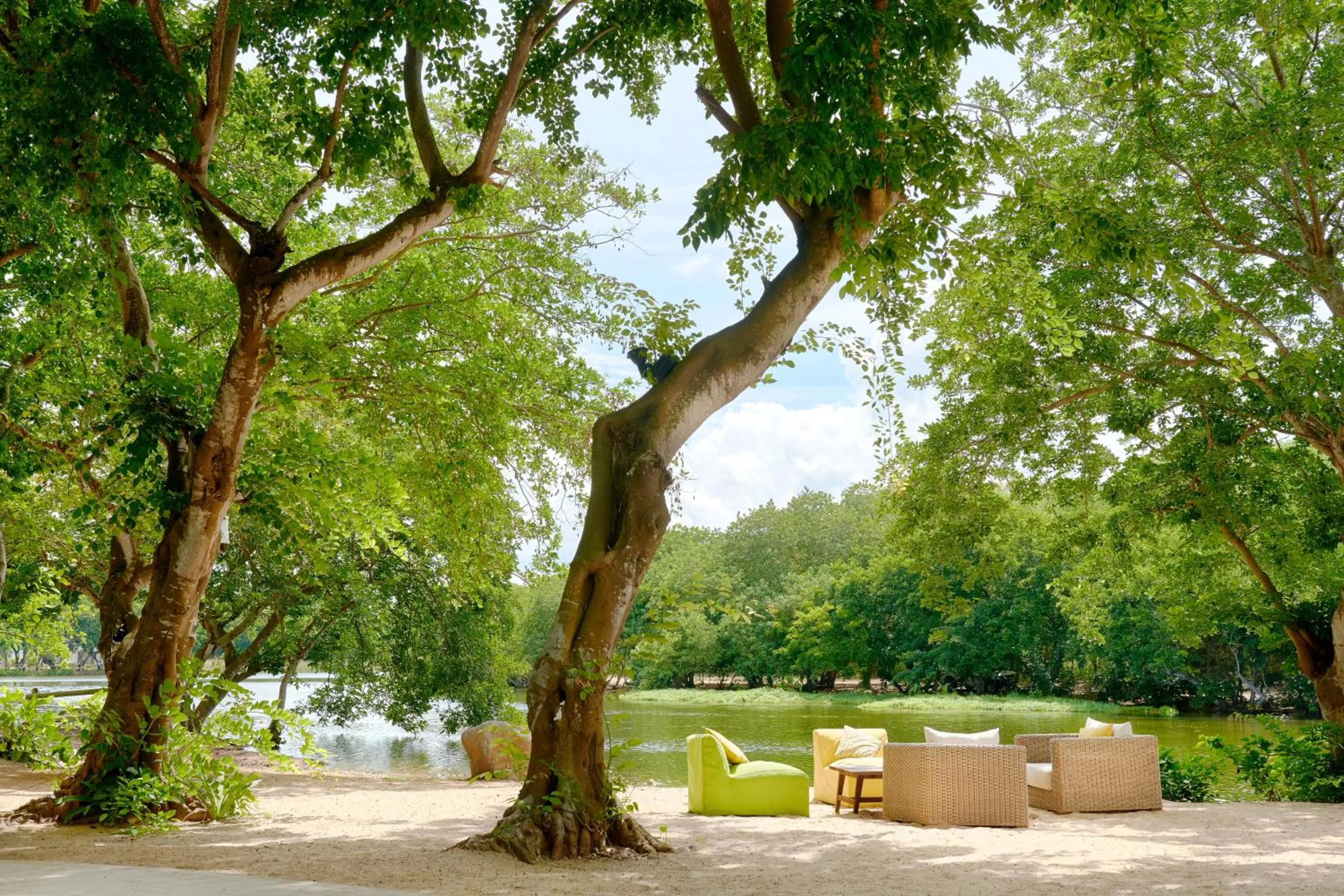 Day in The Ravenala Attitude