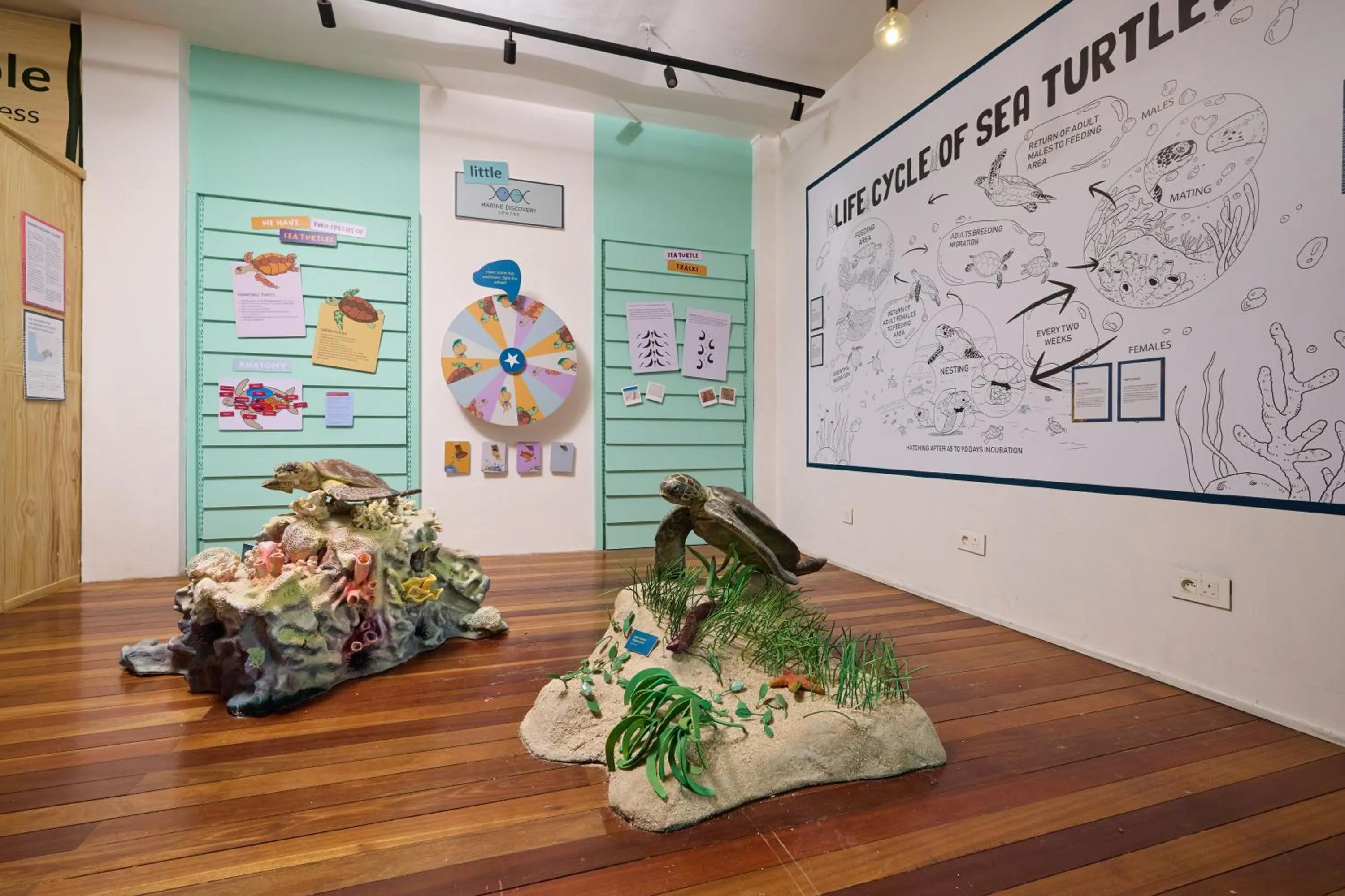 Decorative detail in The Ravenala Attitude