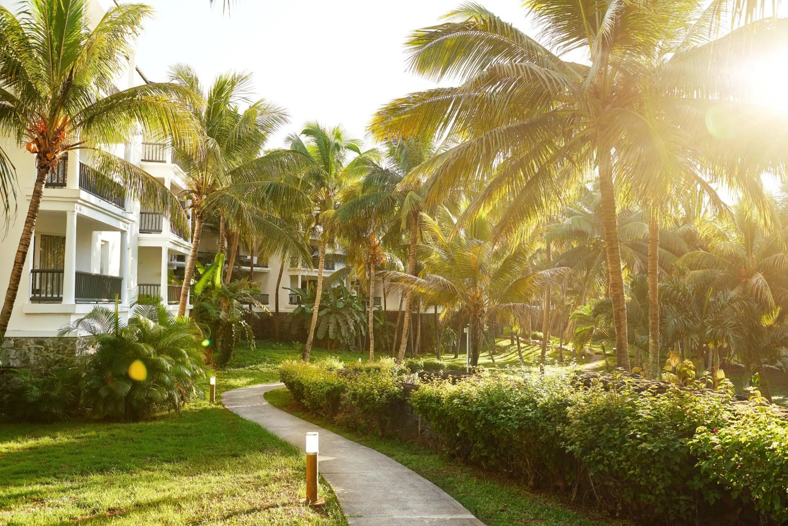 Garden in The Ravenala Attitude