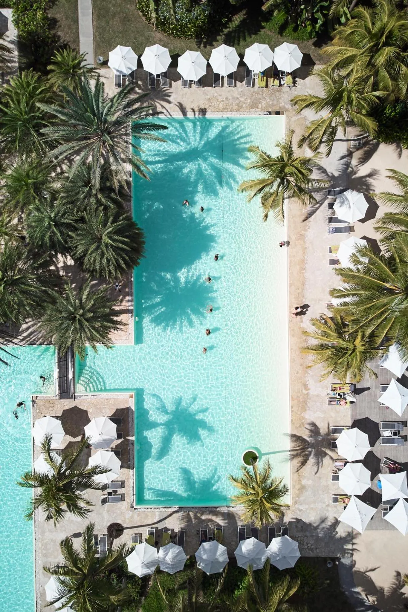 Pool view in The Ravenala Attitude