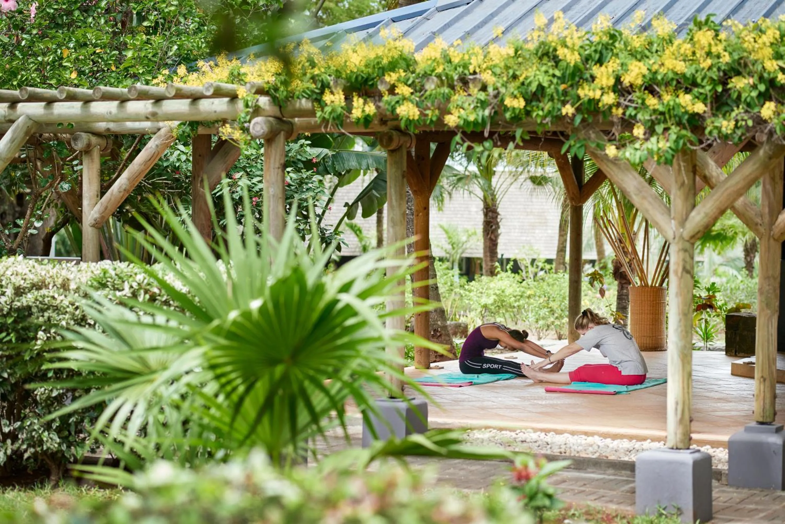 Garden in The Ravenala Attitude