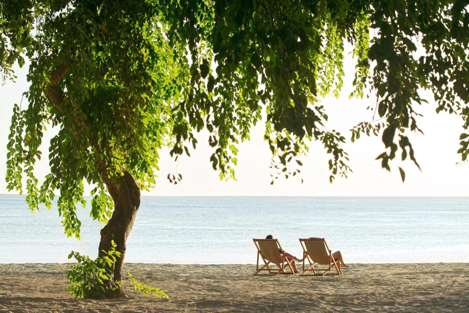 Beach in The Ravenala Attitude