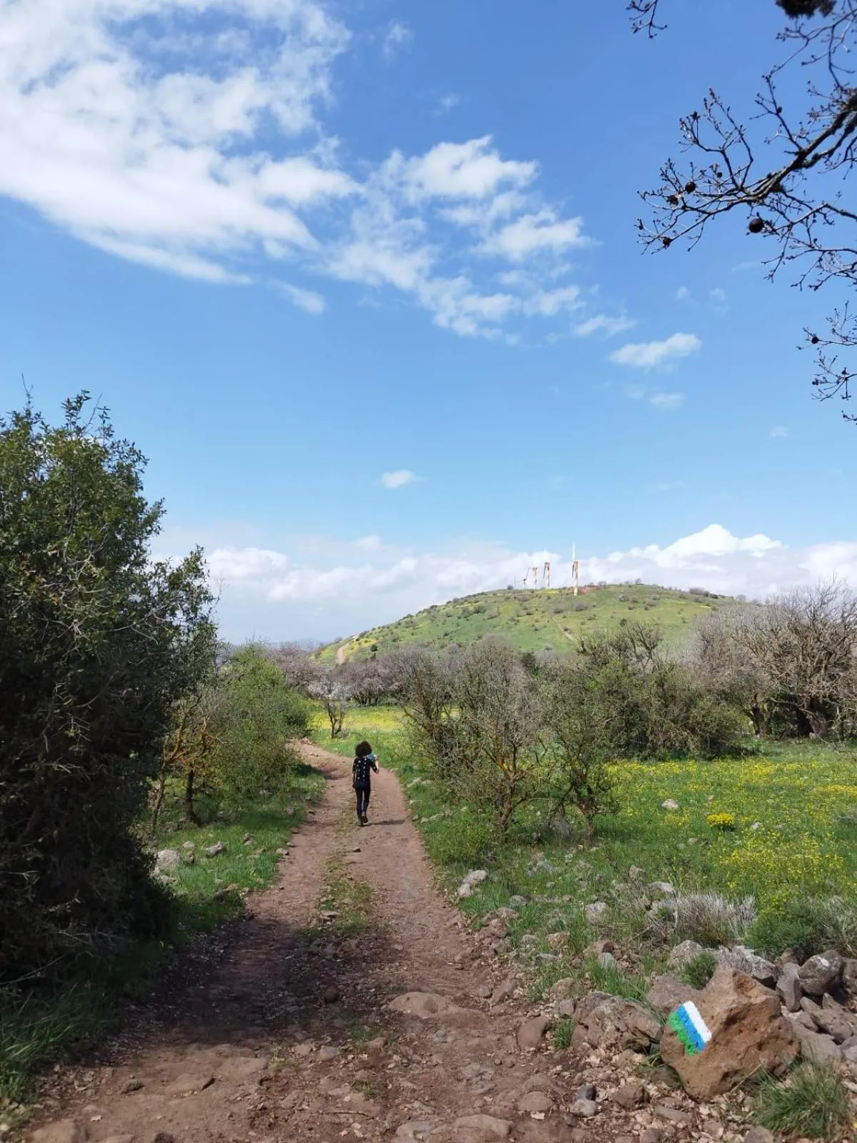 Gate Away B&B Units - המקום באל רום