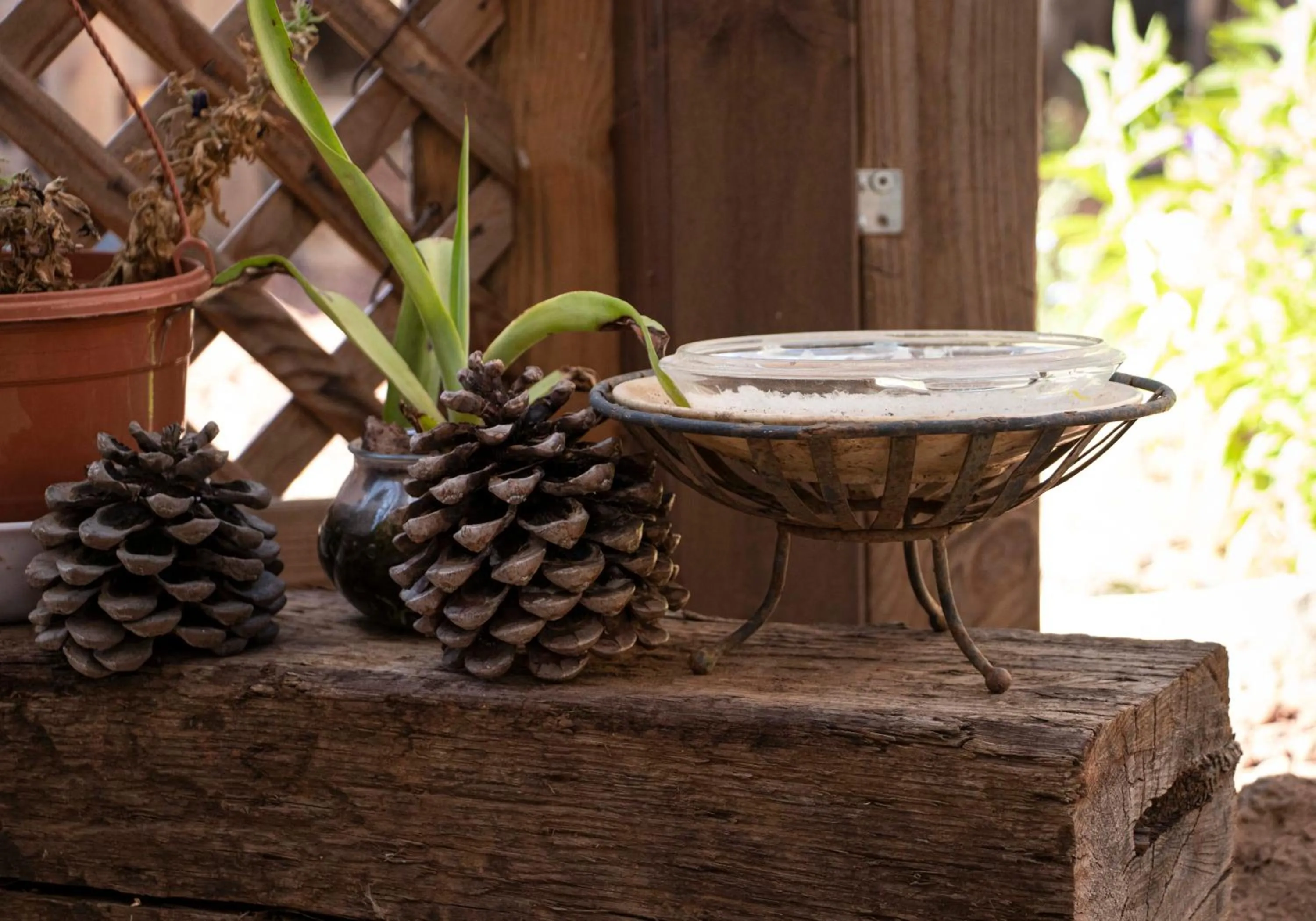 Gate Away B&B Units - המקום באל רום