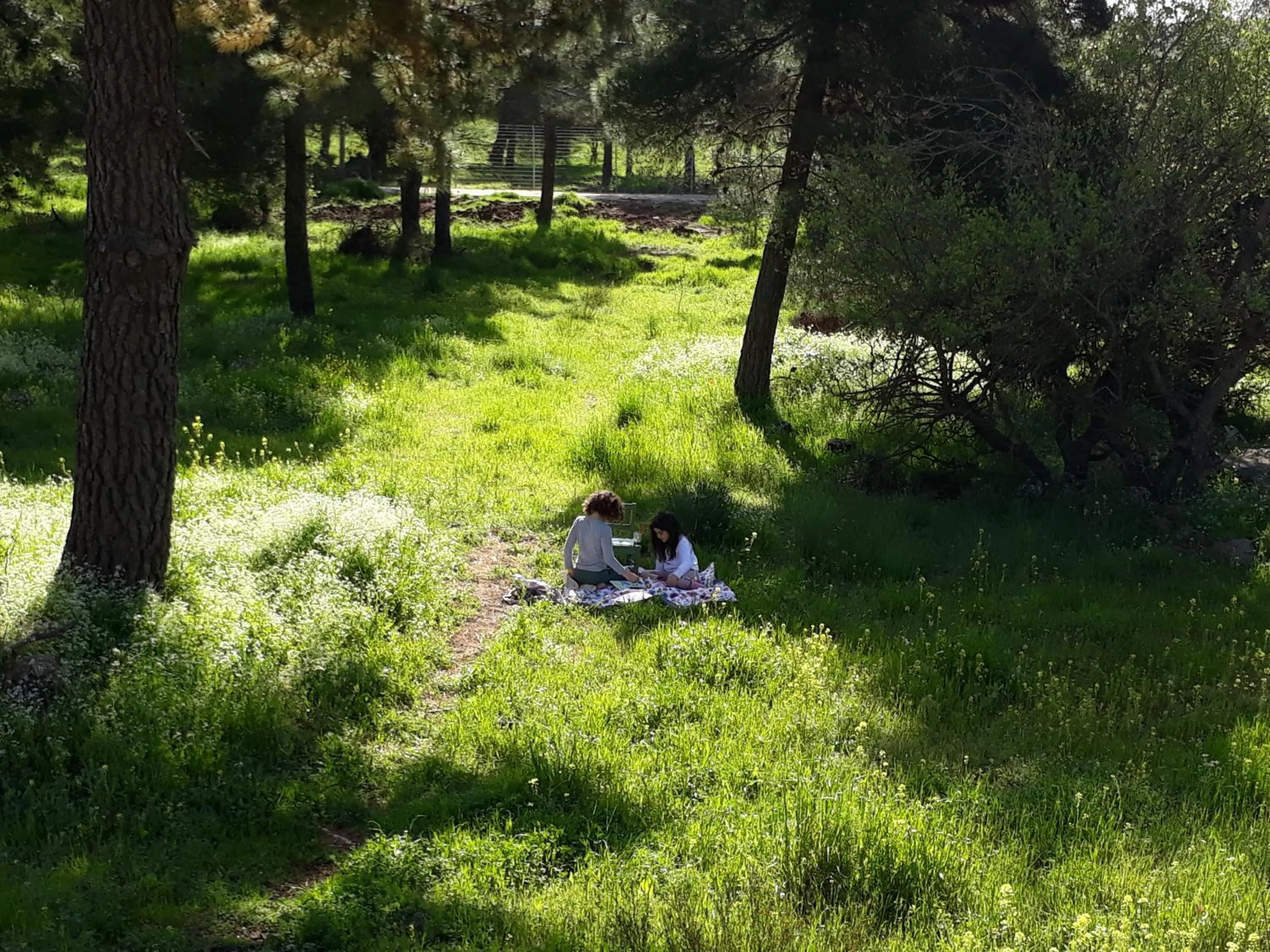 View (from property/room) in Gate Away B&B Units - המקום באל רום