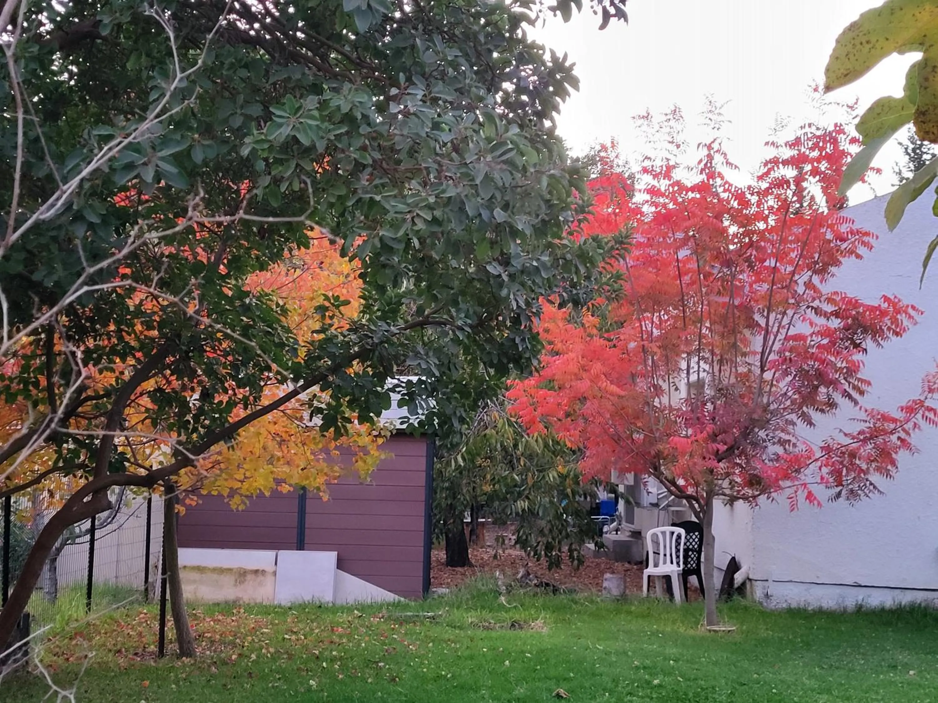 Gate Away B&B Units - המקום באל רום