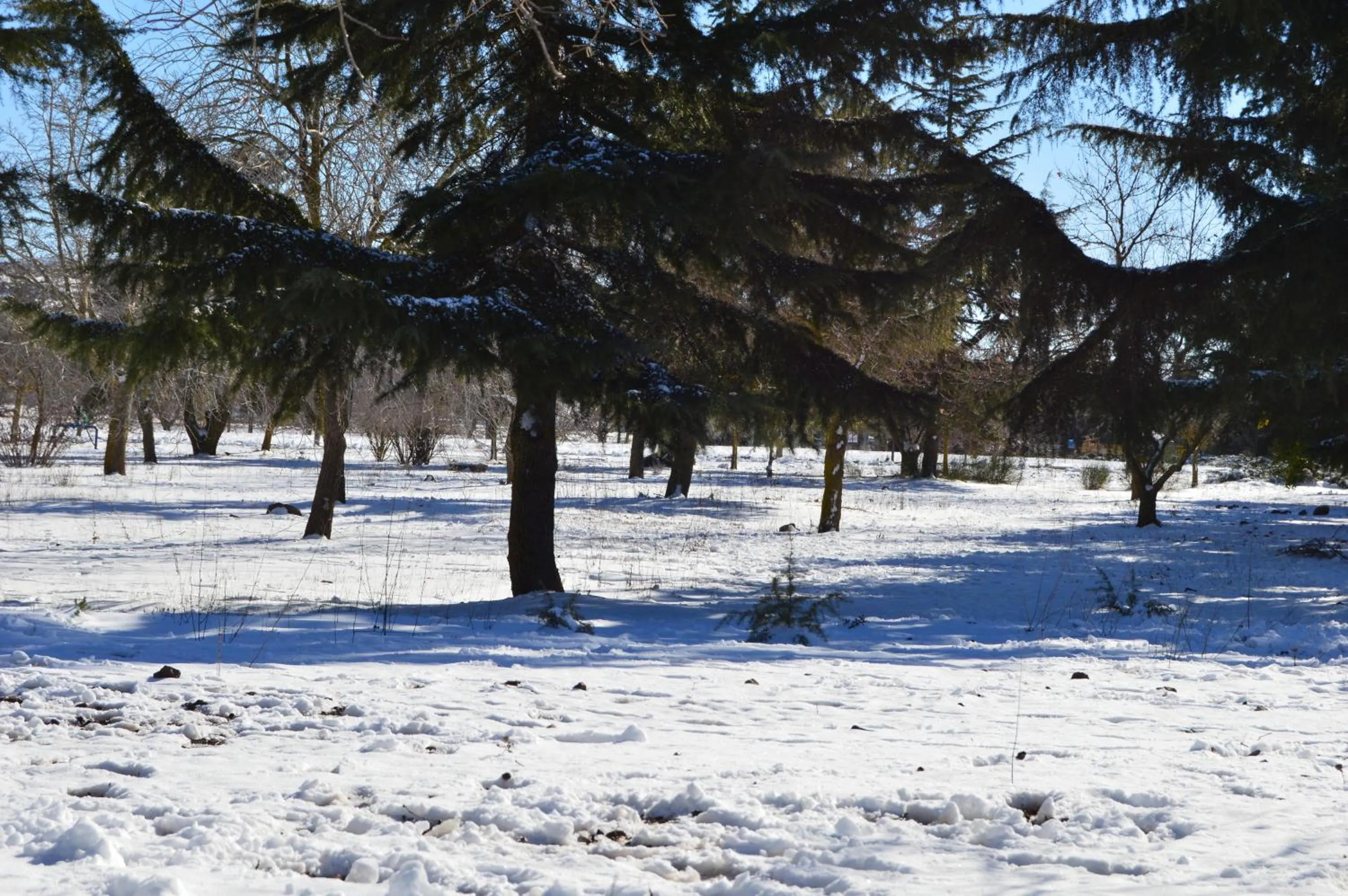 Winter in Gate Away B&B Units - המקום באל רום