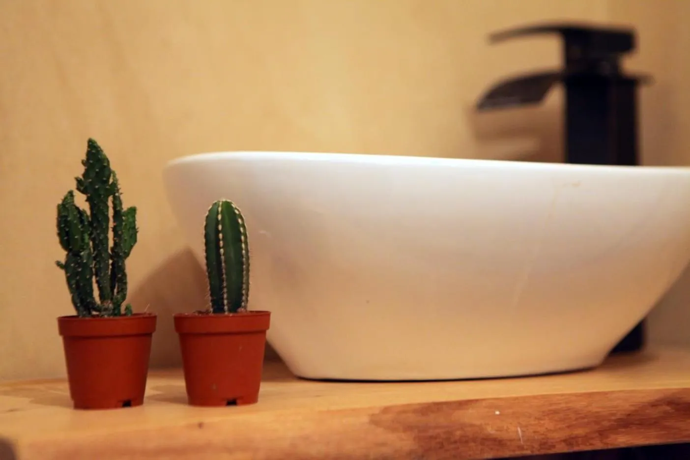 Gate Away B&B Units - המקום באל רום