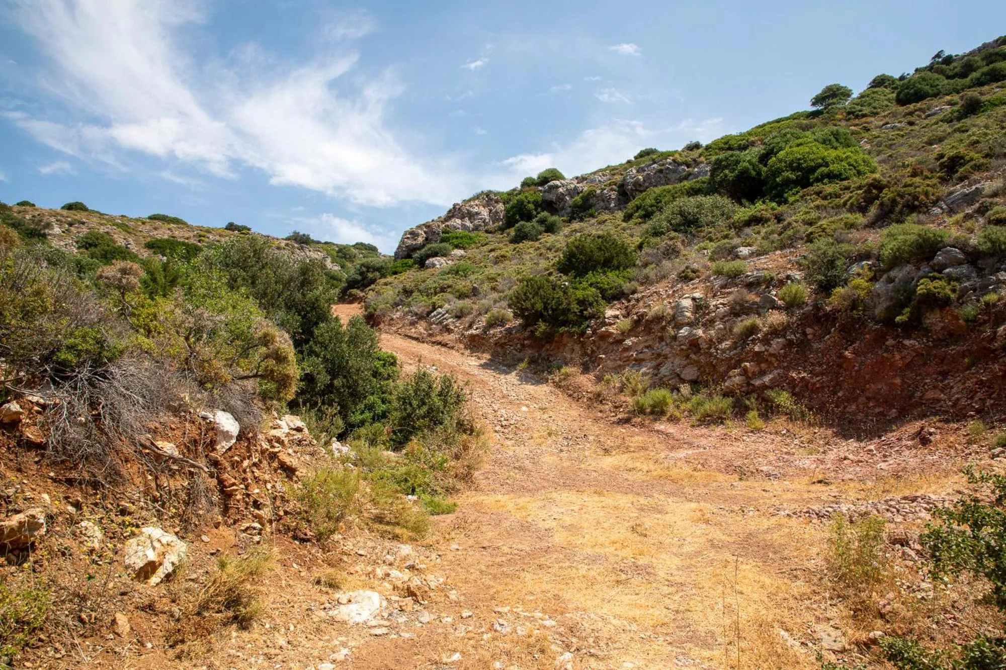 Natural landscape in Goknar Knidos Adults Only Eco Retreat and Farm