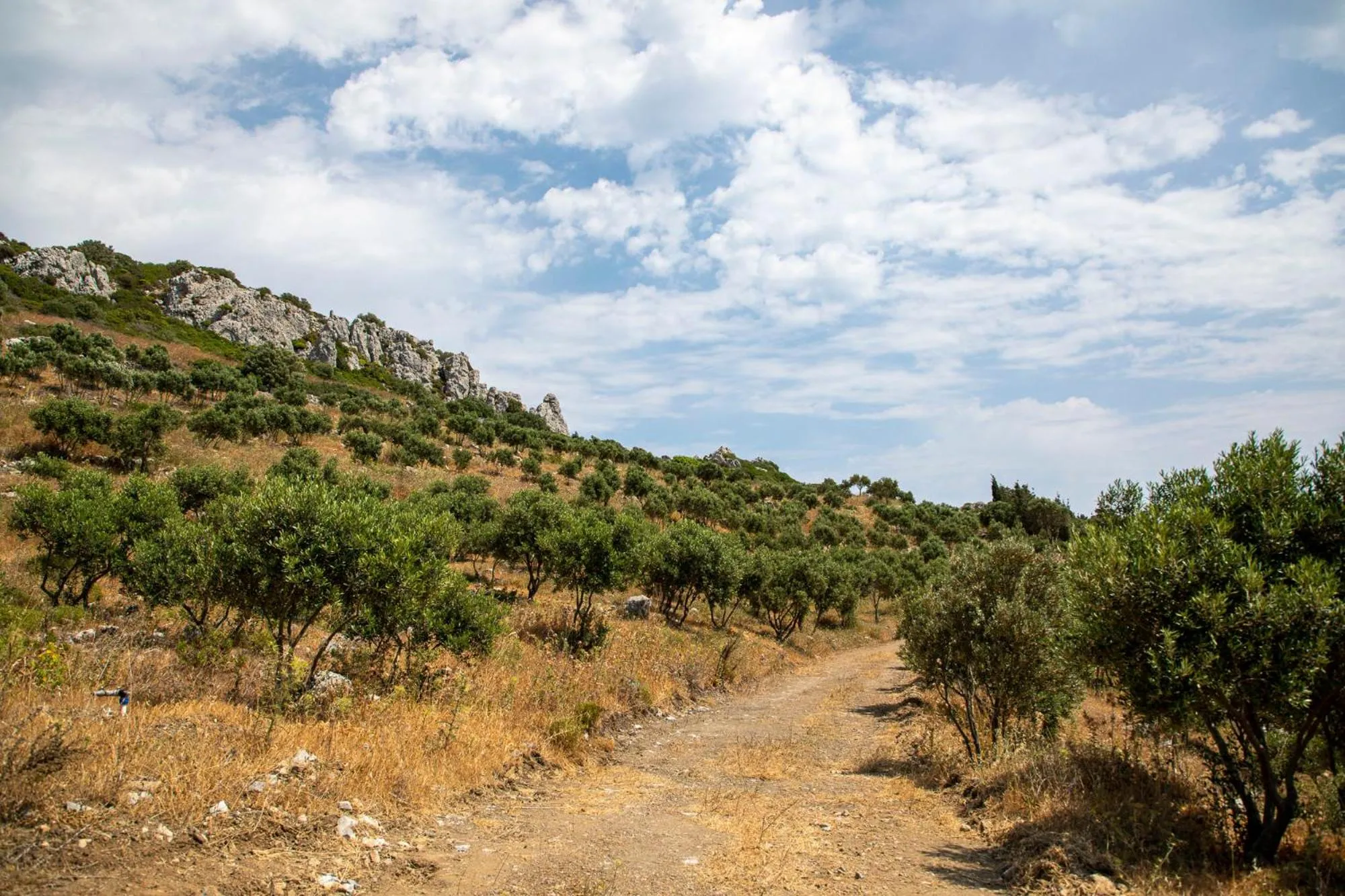 Garden in Goknar Knidos Adults Only Eco Retreat and Farm