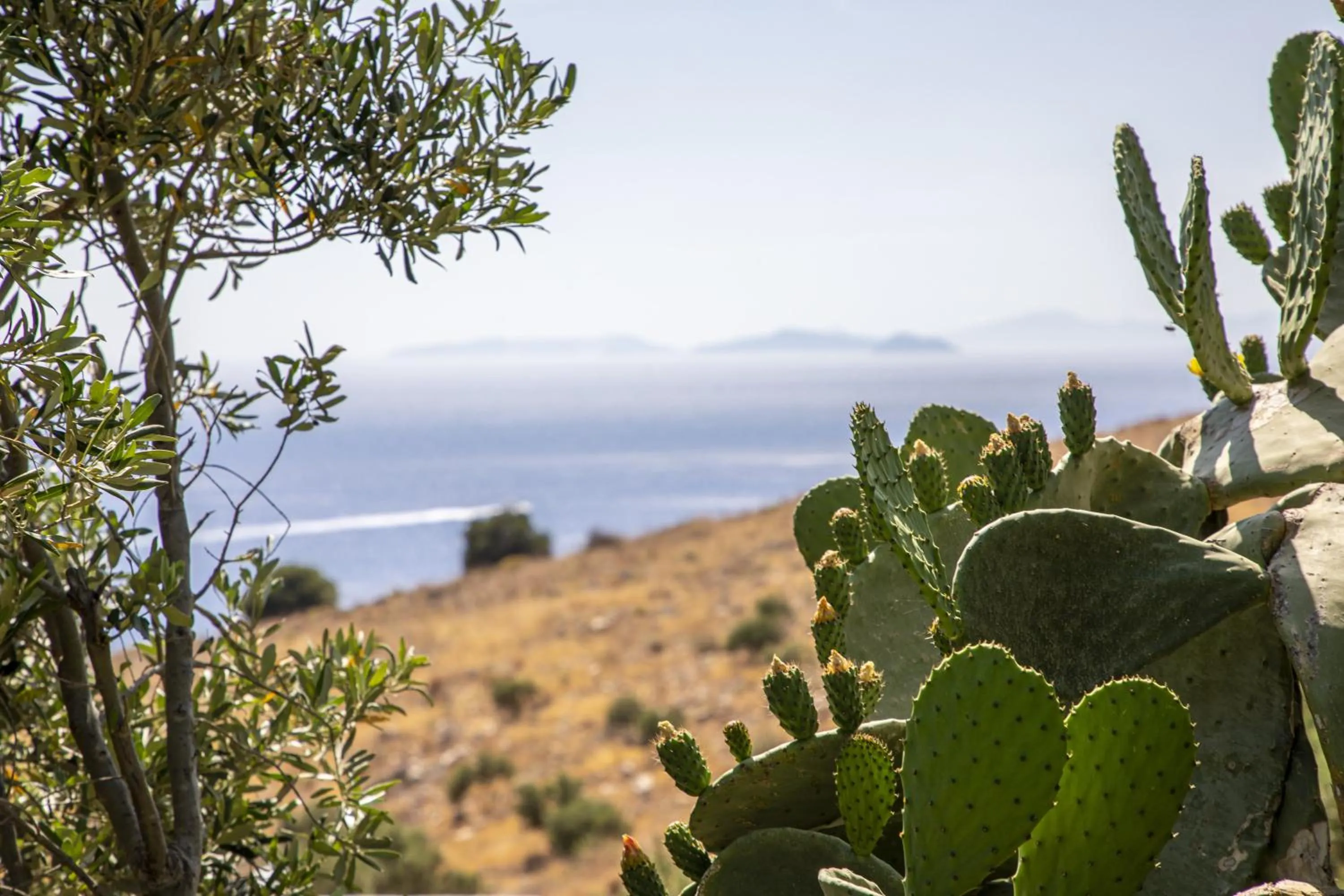 Natural landscape in Goknar Knidos Adults Only Eco Retreat and Farm