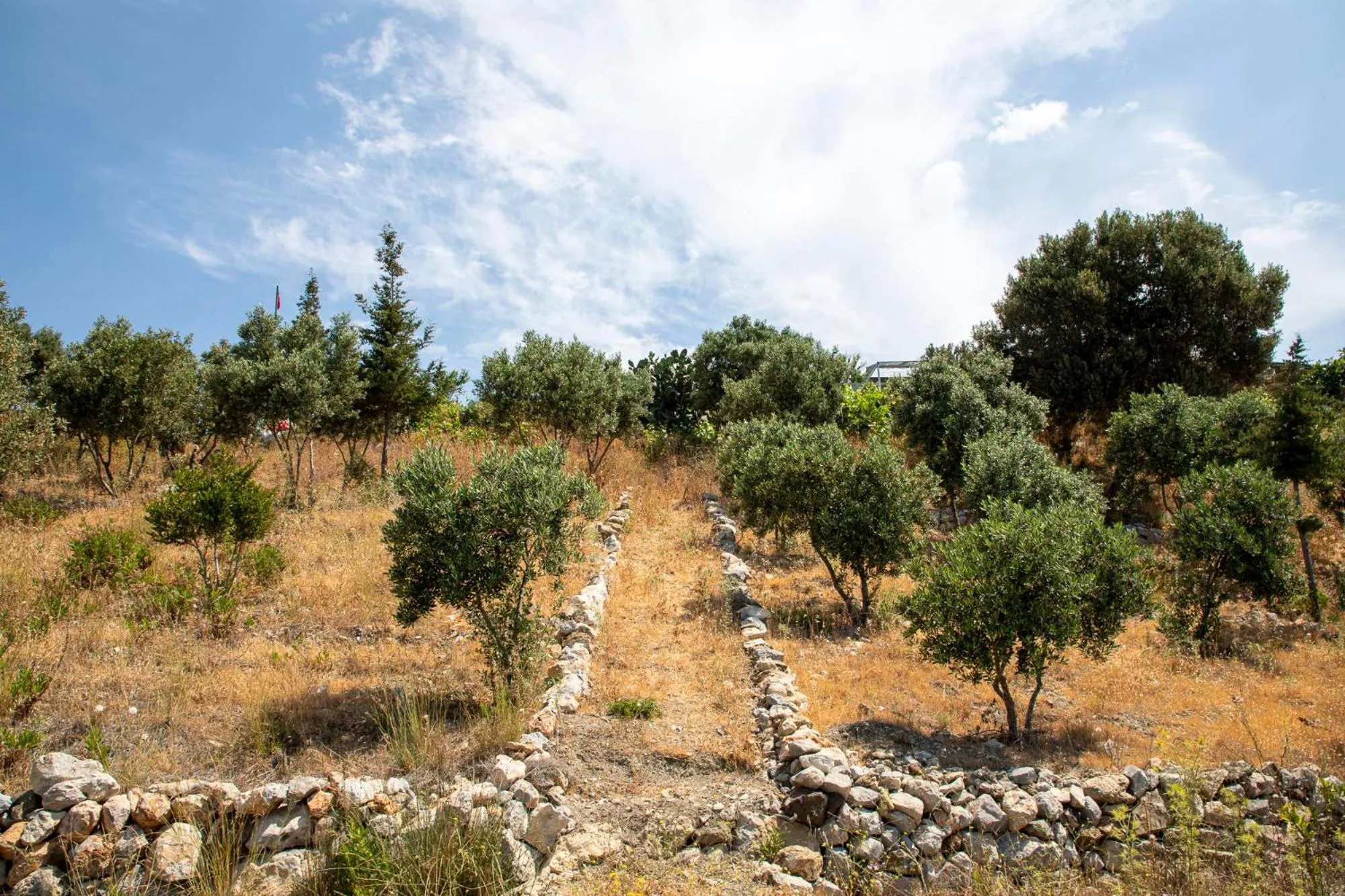 Natural landscape in Goknar Knidos Adults Only Eco Retreat and Farm