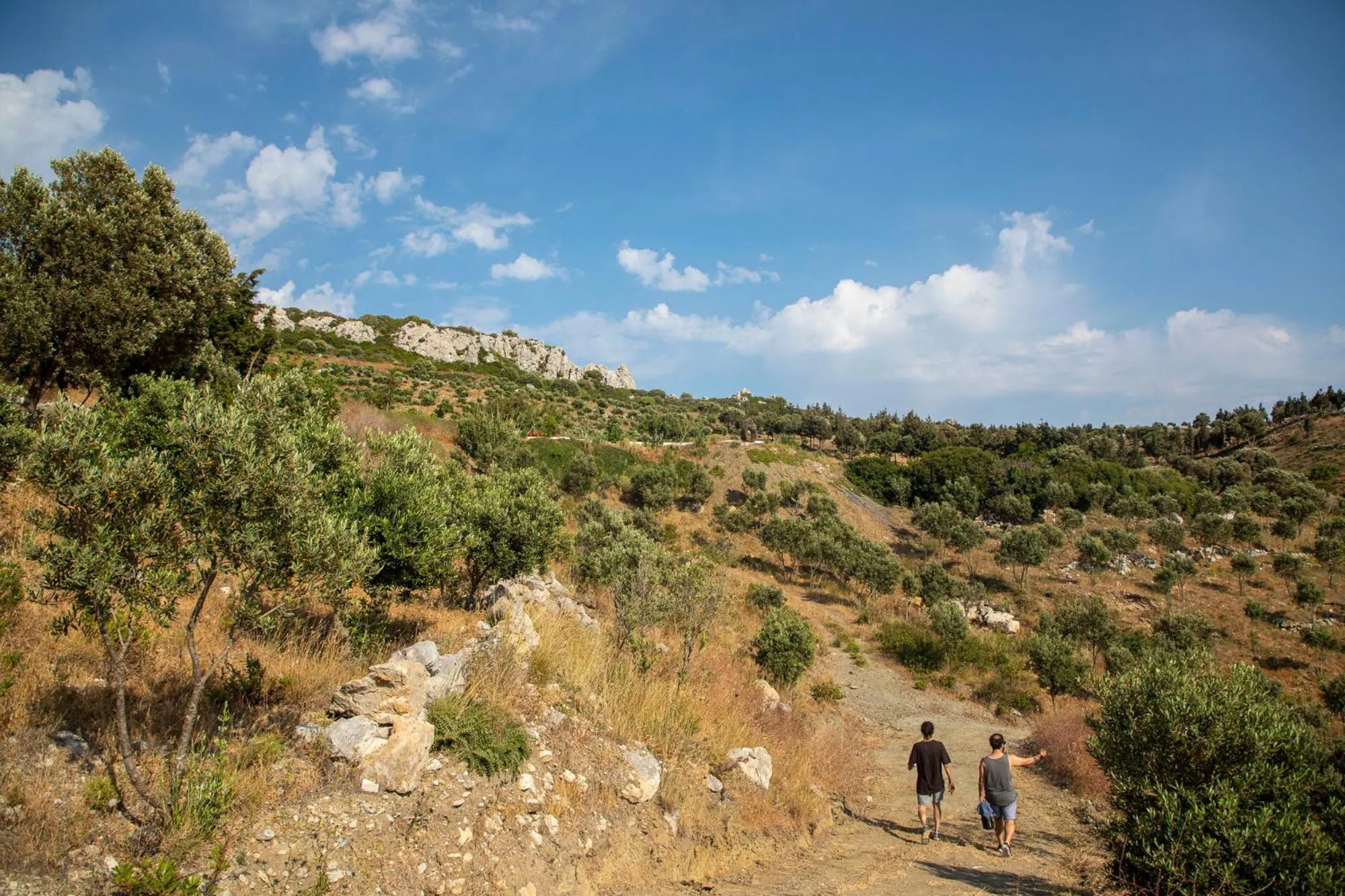 Natural landscape in Goknar Knidos Adults Only Eco Retreat and Farm