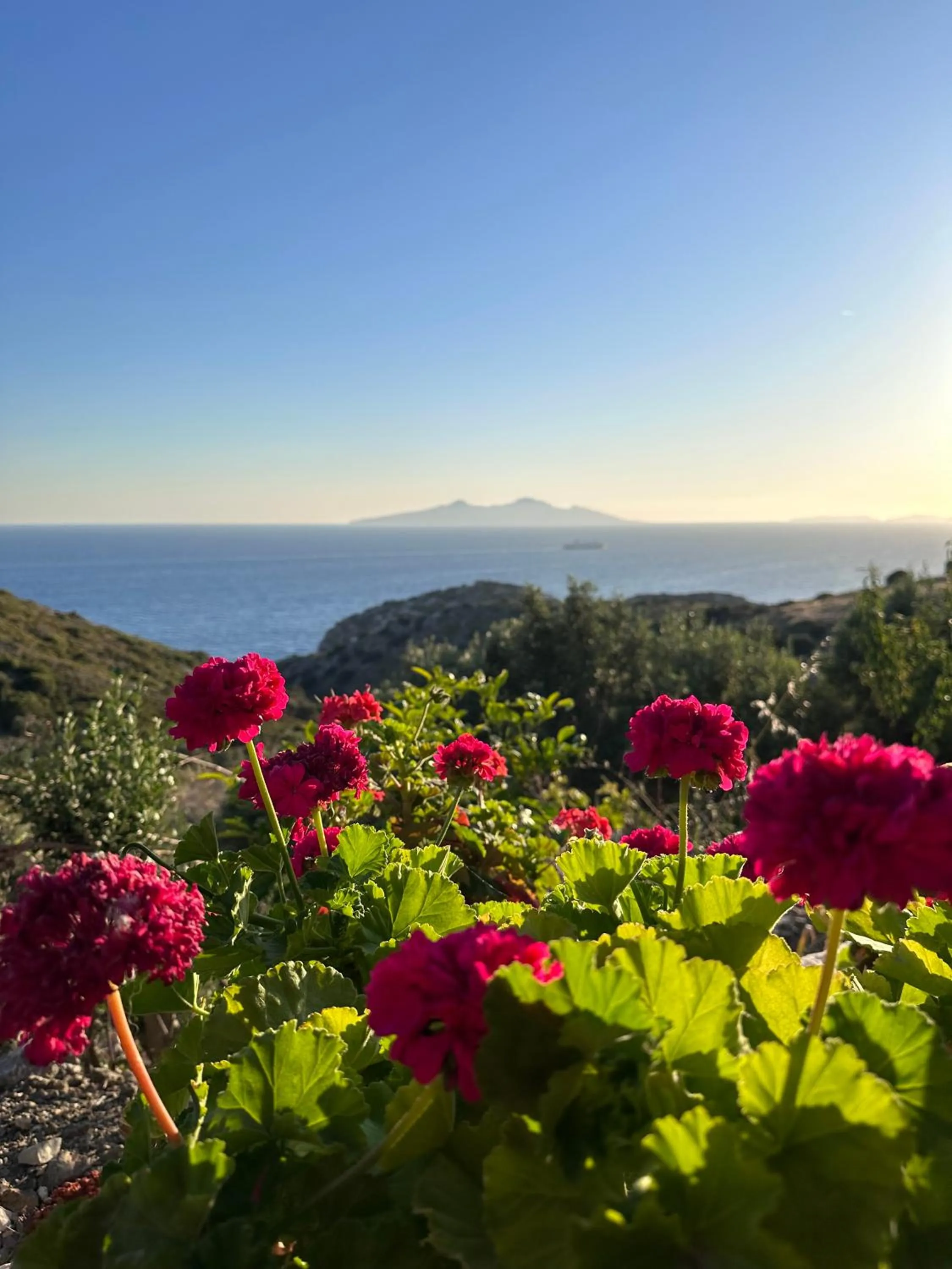 View (from property/room) in Goknar Knidos Adults Only Eco Retreat and Farm