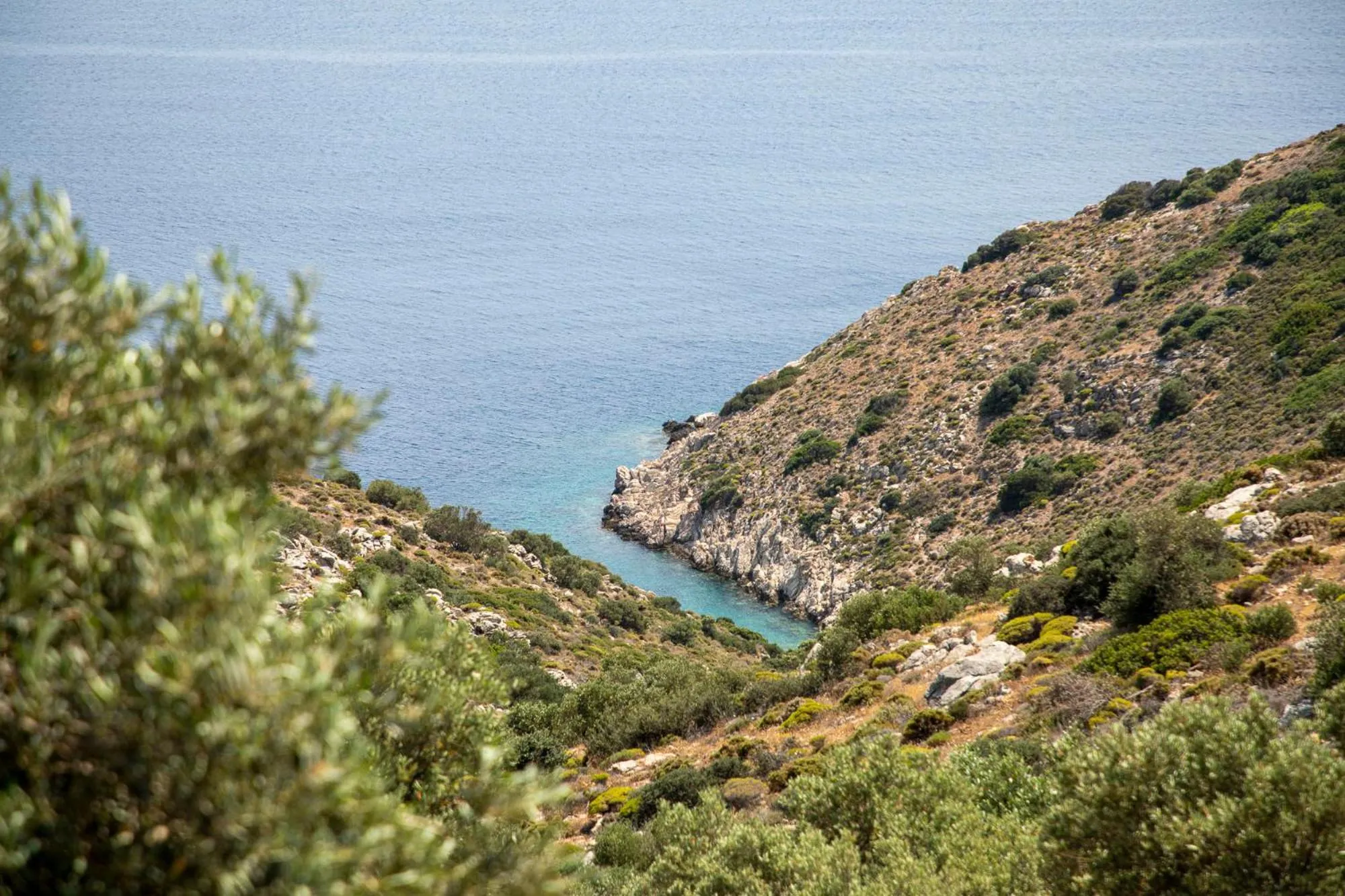 Natural landscape in Goknar Knidos Adults Only Eco Retreat and Farm